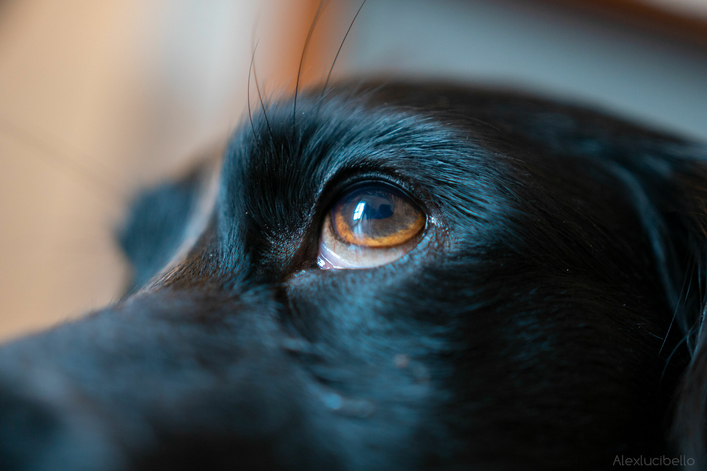 Reflection of the Soul