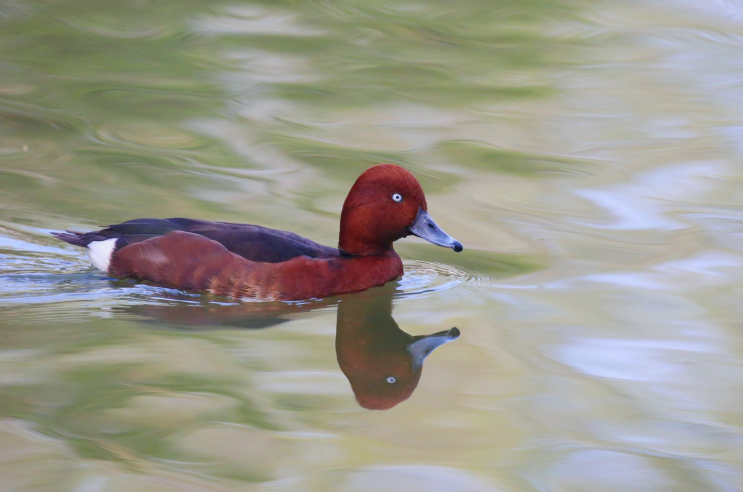 Mirror of my desires....