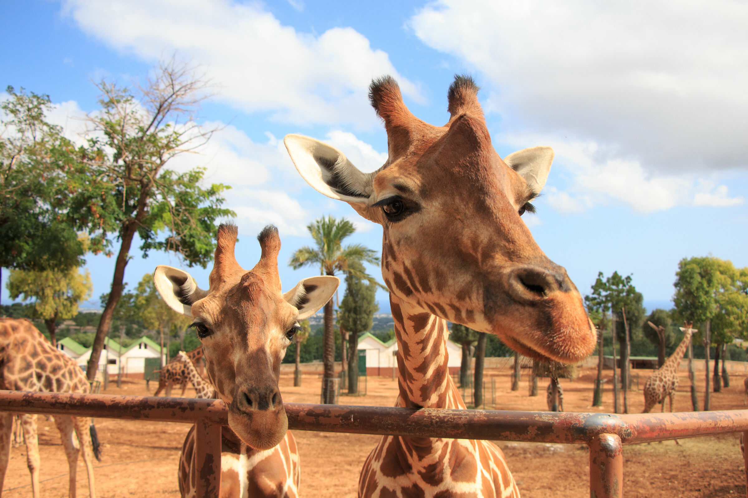 What are you looking at?