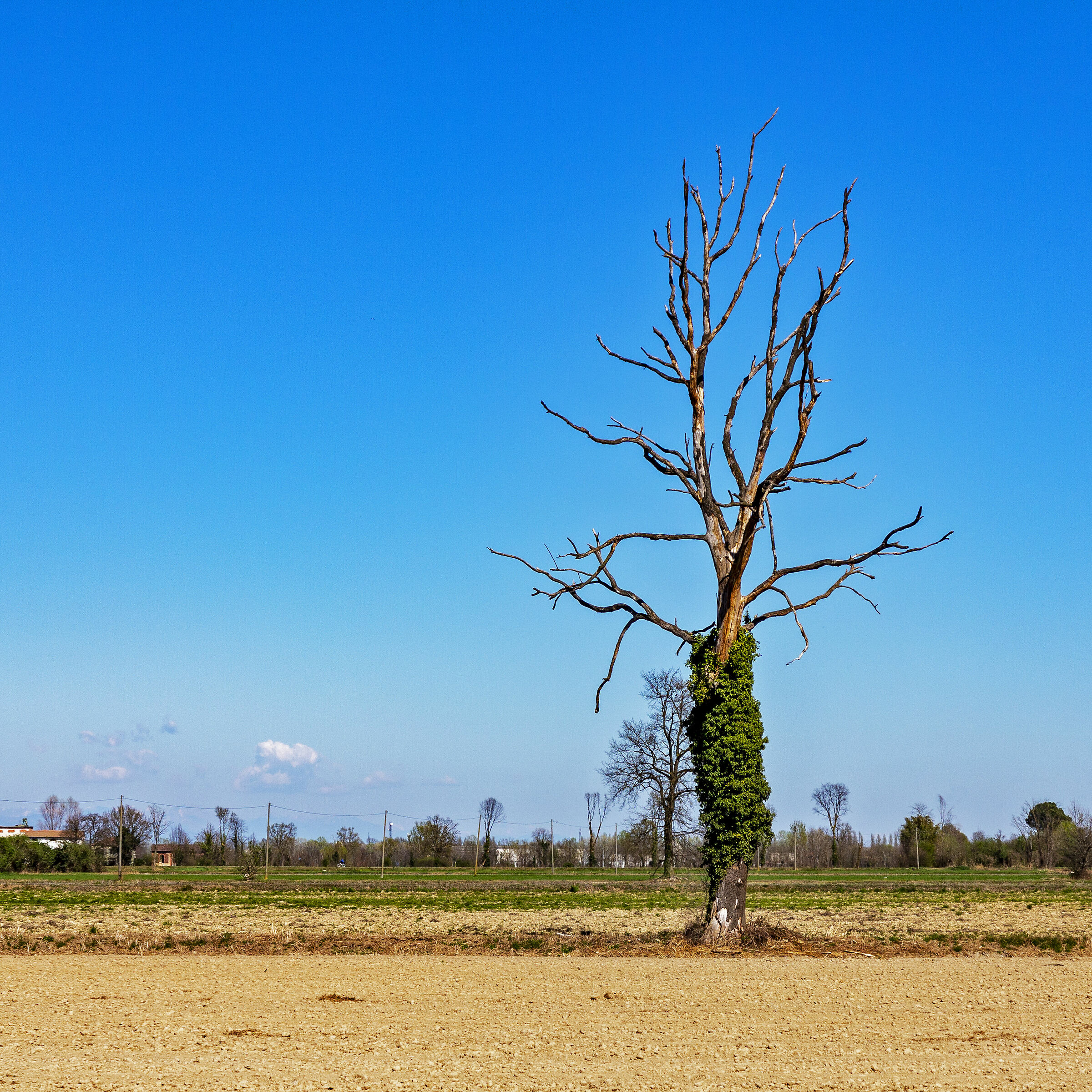 Where He attacks, he dies