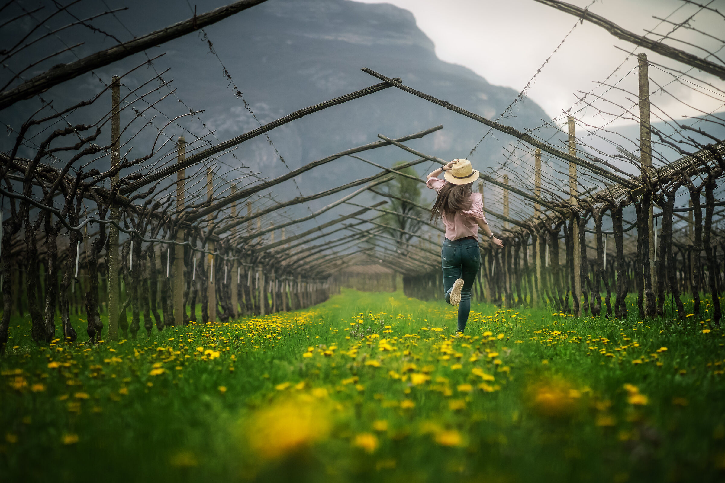scappando dal temporale
