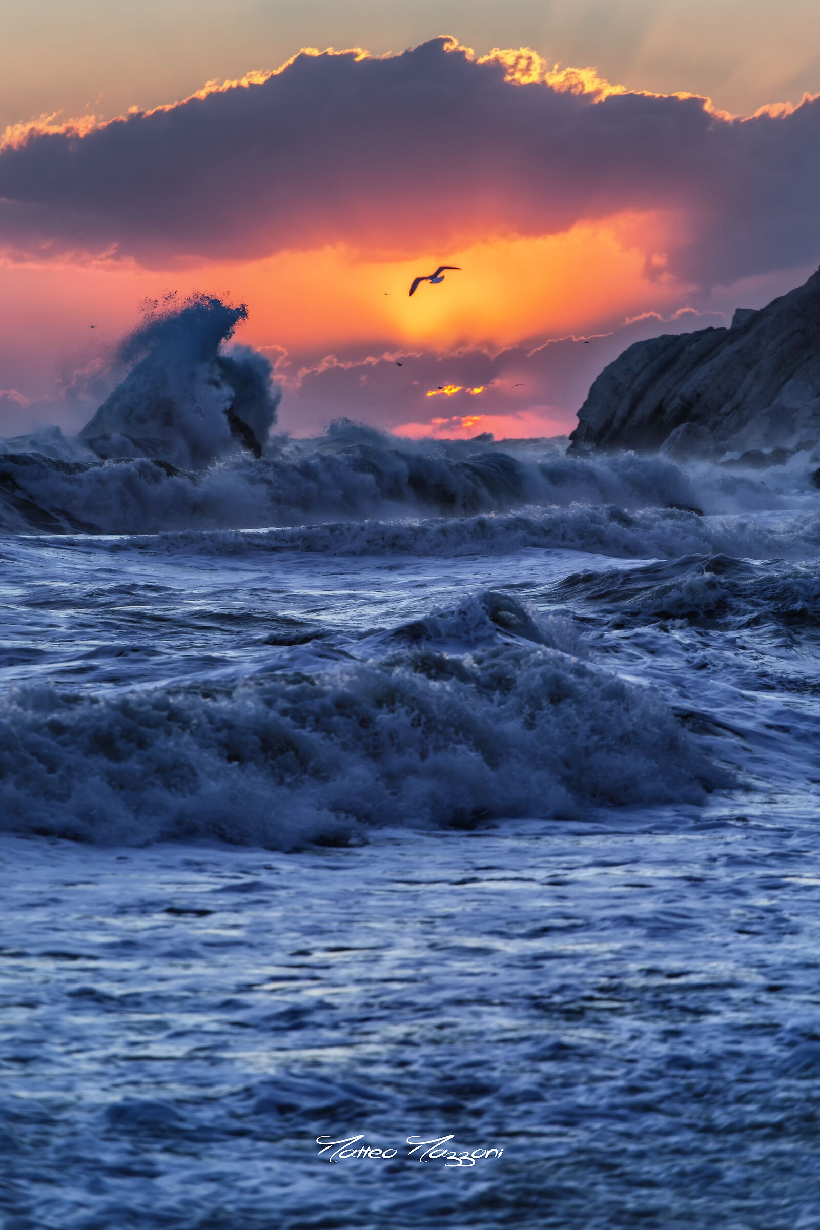 The Scream of the Sea