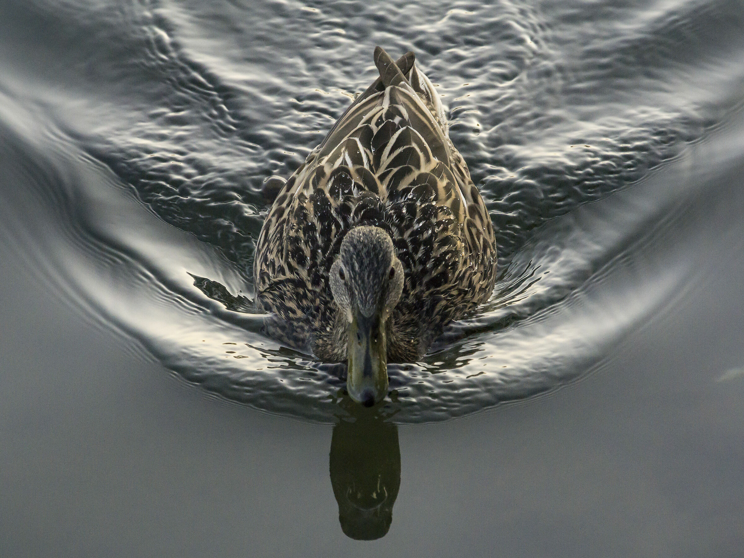 Saturday 23 March 2019, 18:04