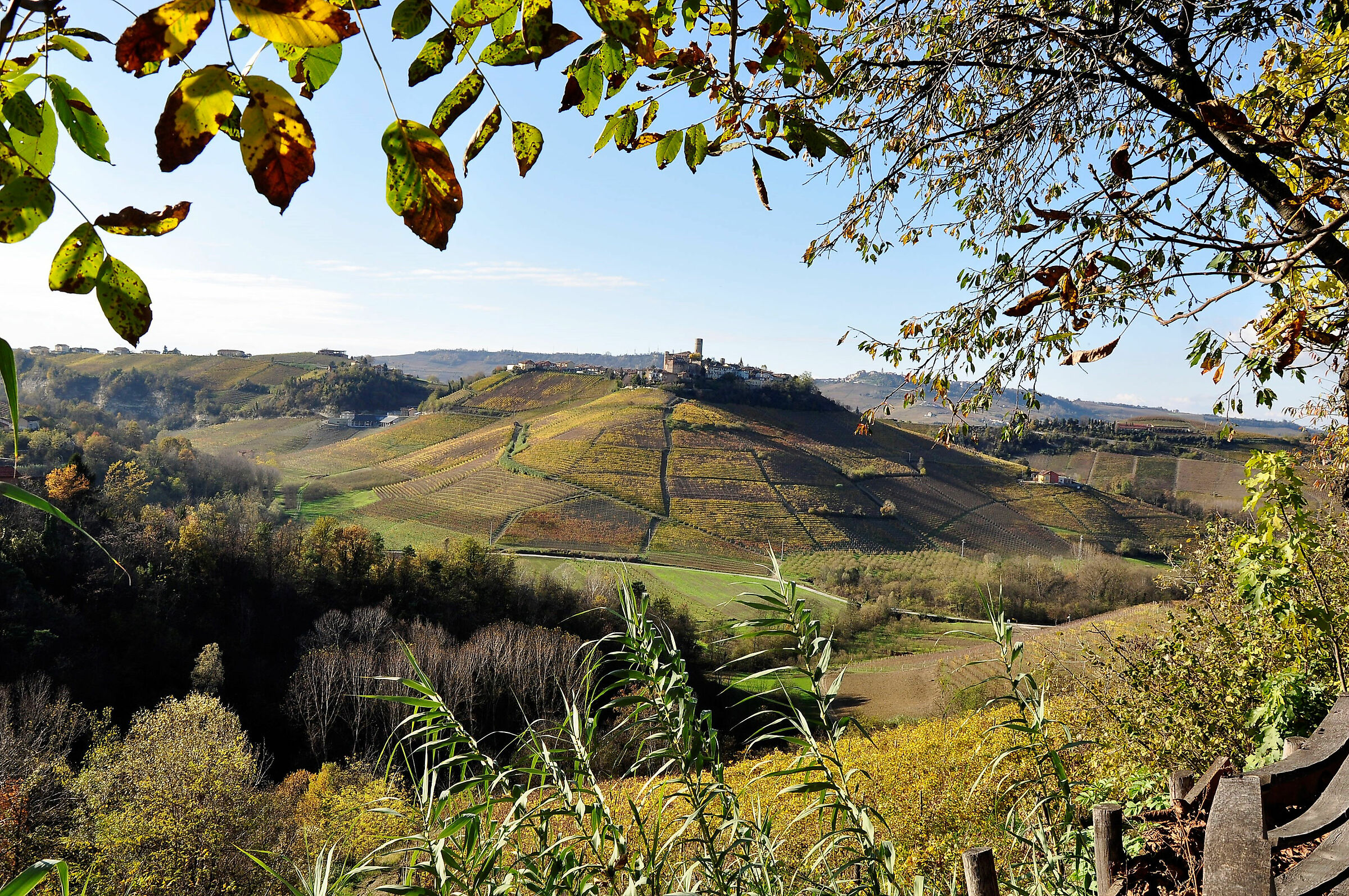 Langhe