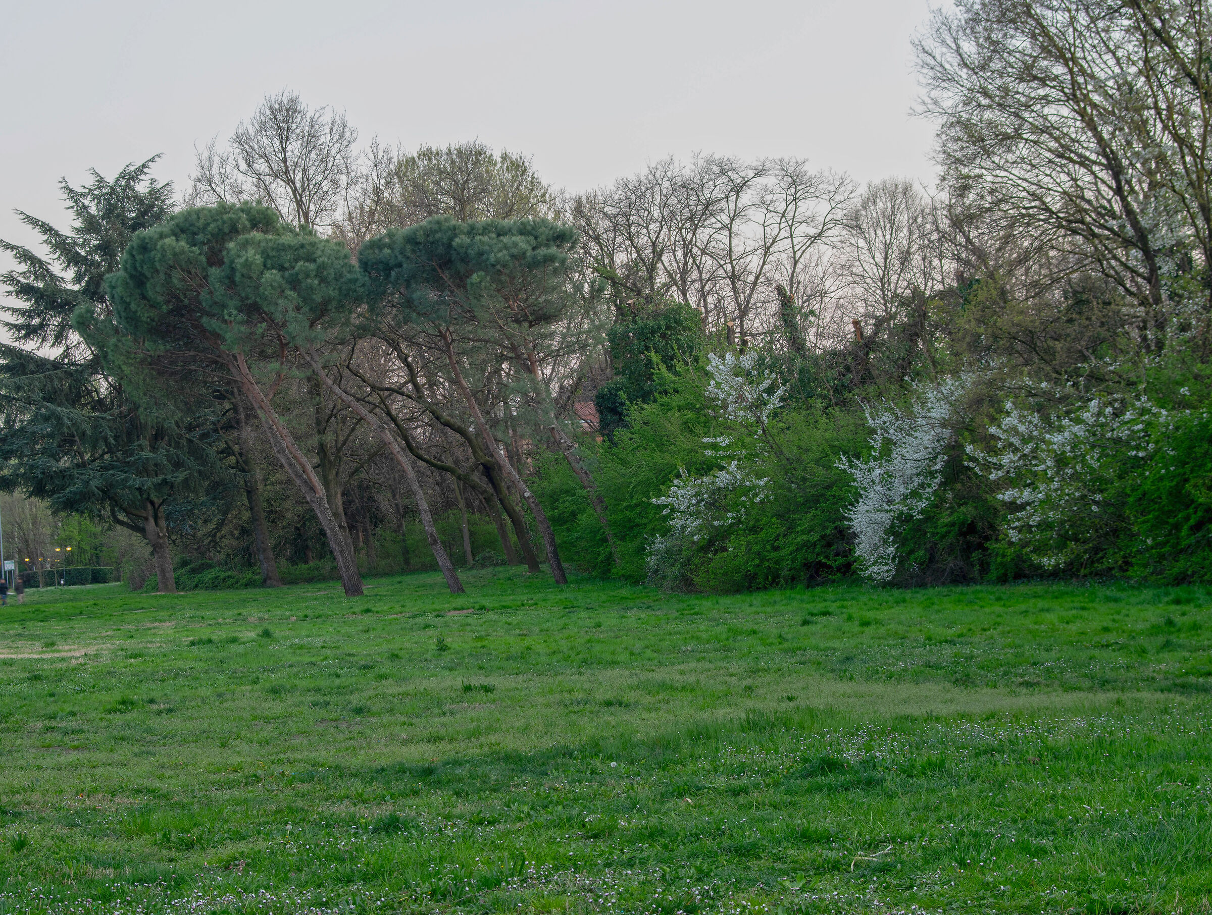 Un angolo di Toscana a Cornaredo