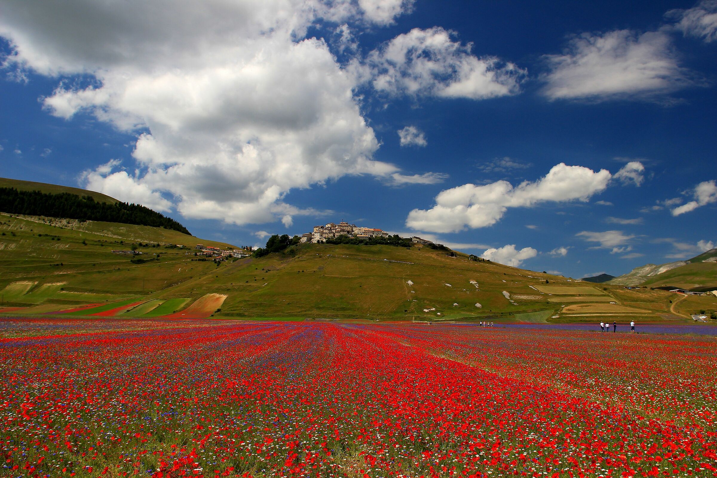 Castelluccio di Norcia