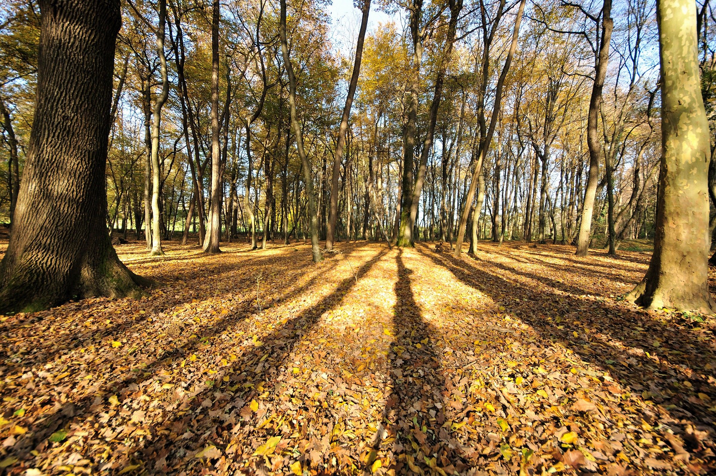 giochi di luci ed ombre