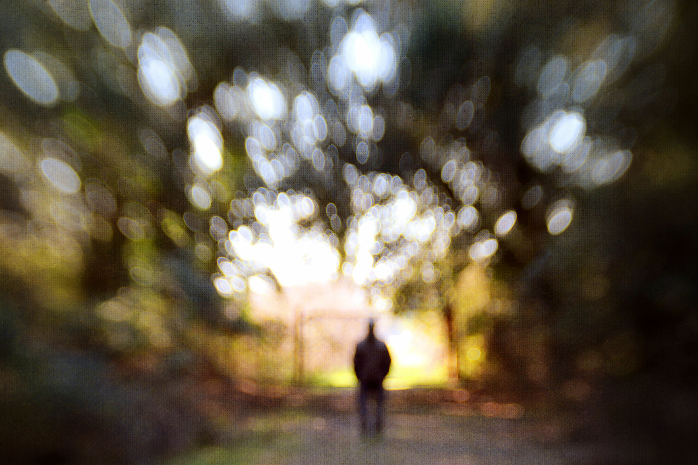 Mr Ordinary Visionary