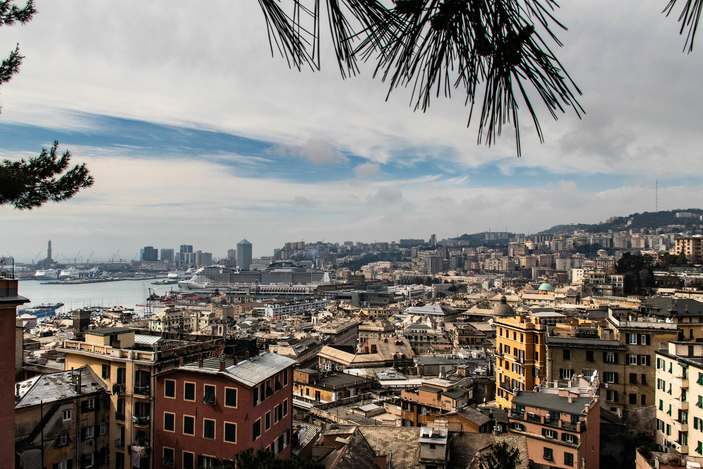 Genova