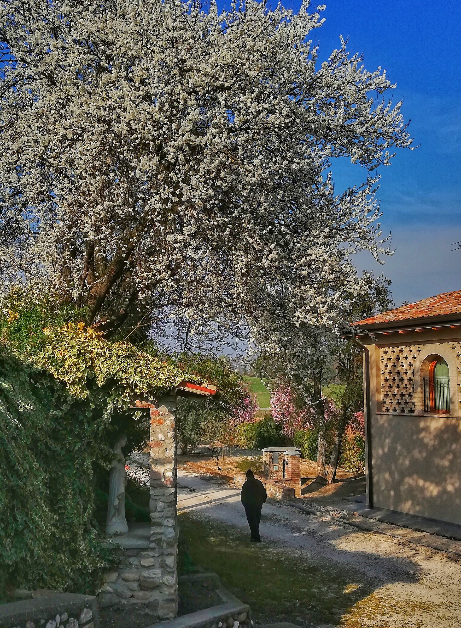 Un altra primavera....