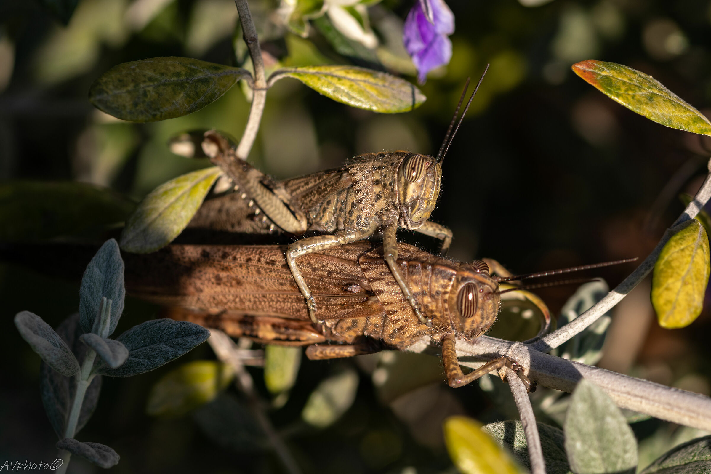 And you.. What did you have to go through here? ?