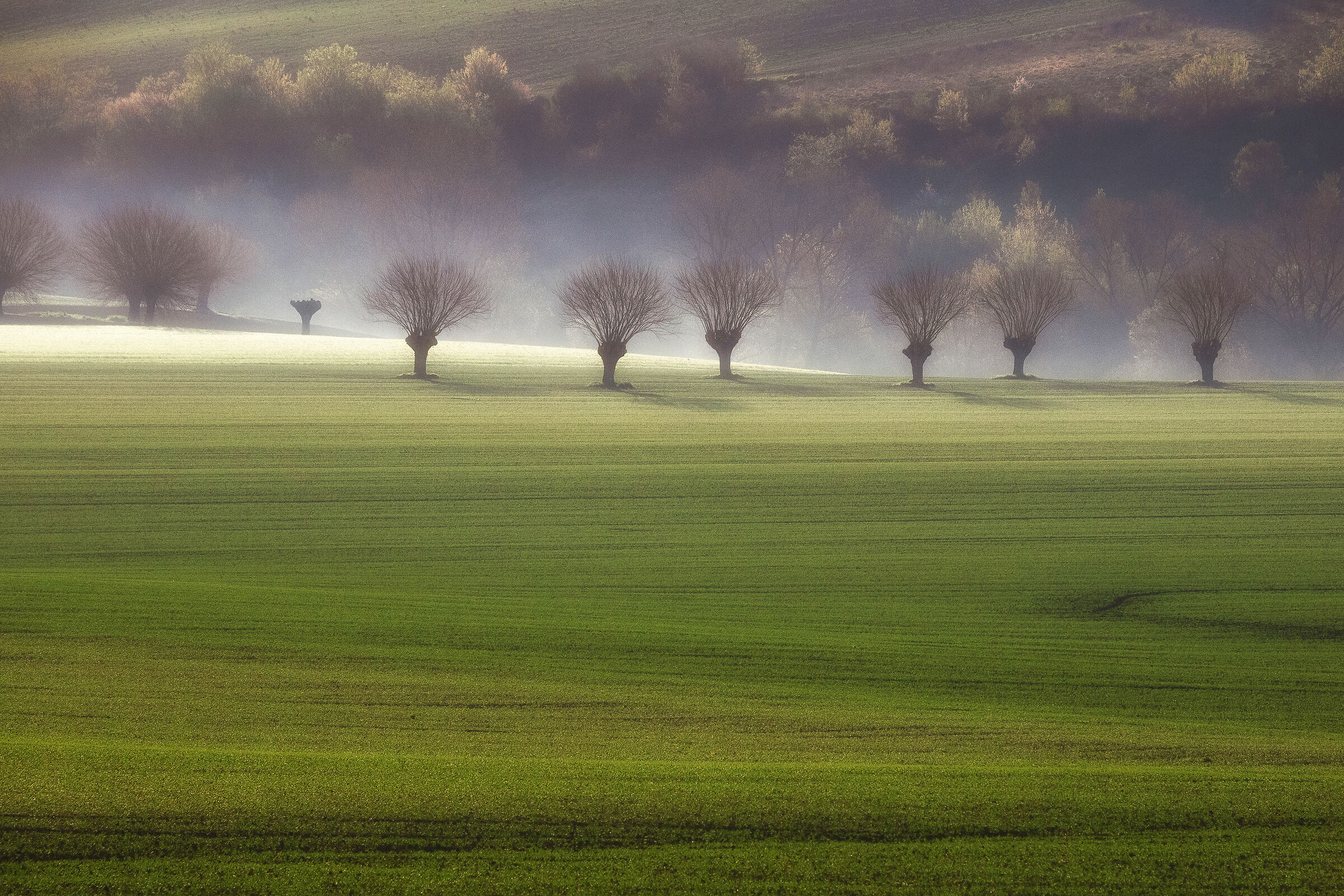 uno scorcio di campagna