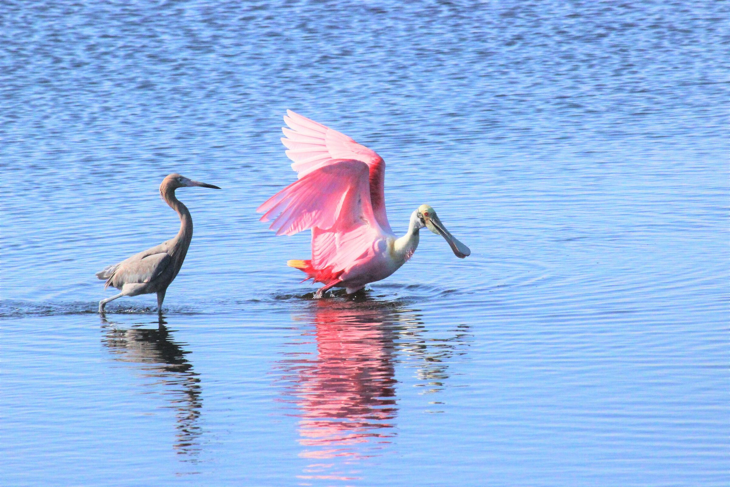 Manteniamo le distanze