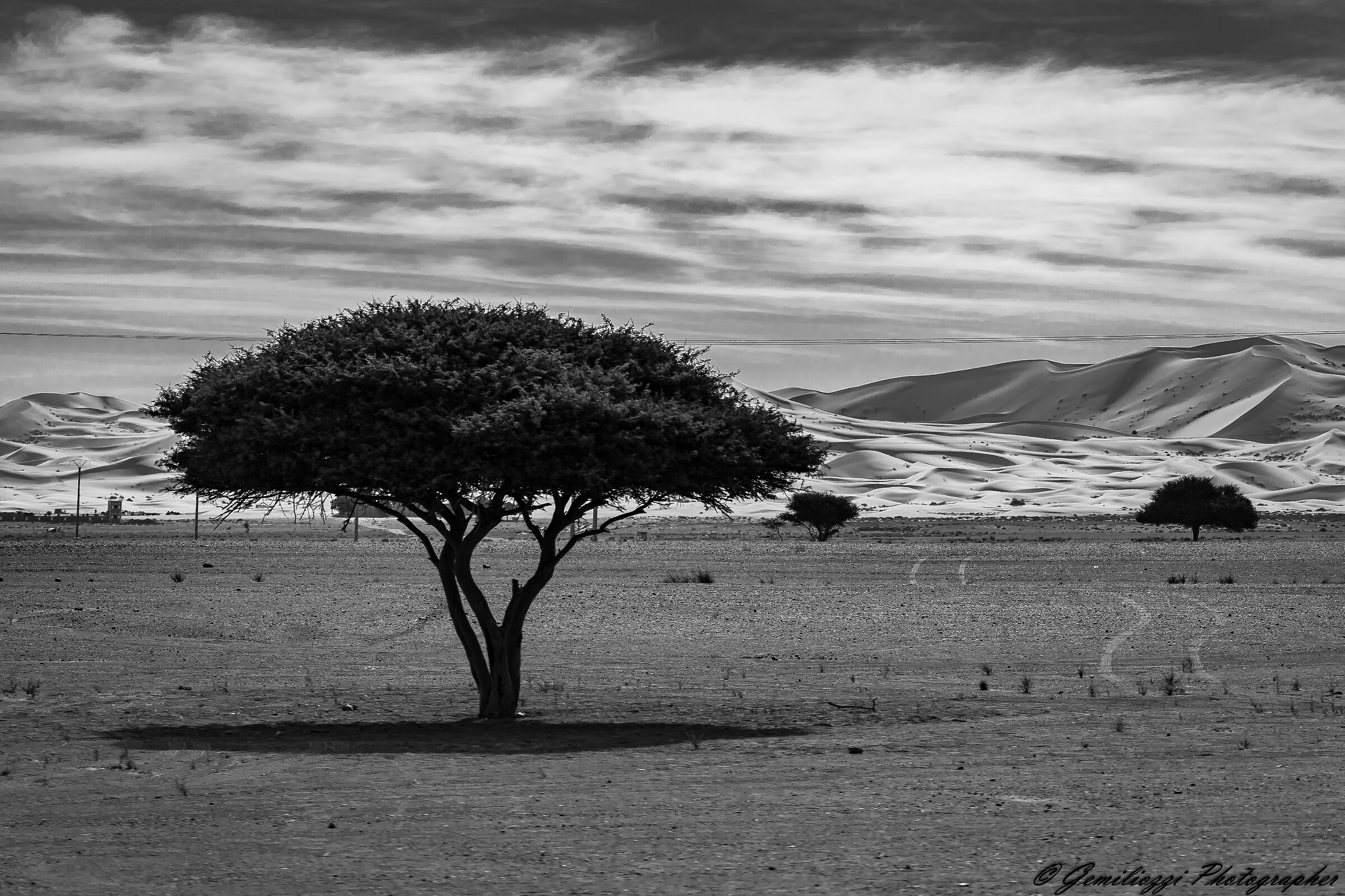 Ai piedi del Deserto