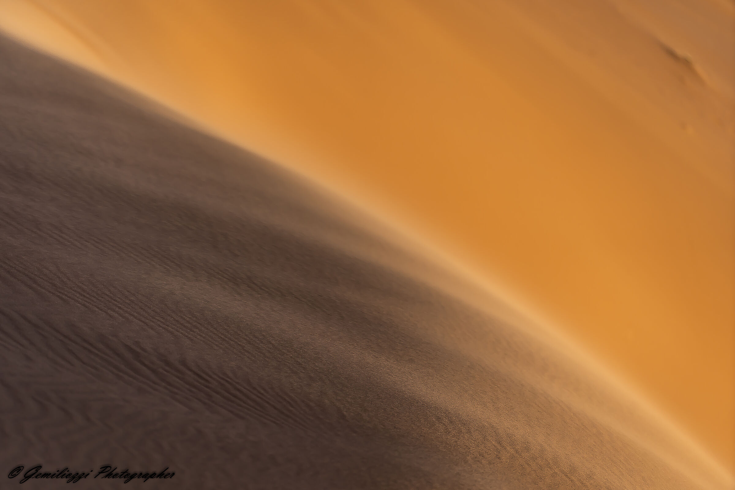 Dune