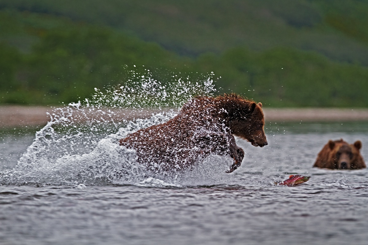 Adesso ti prendo...............