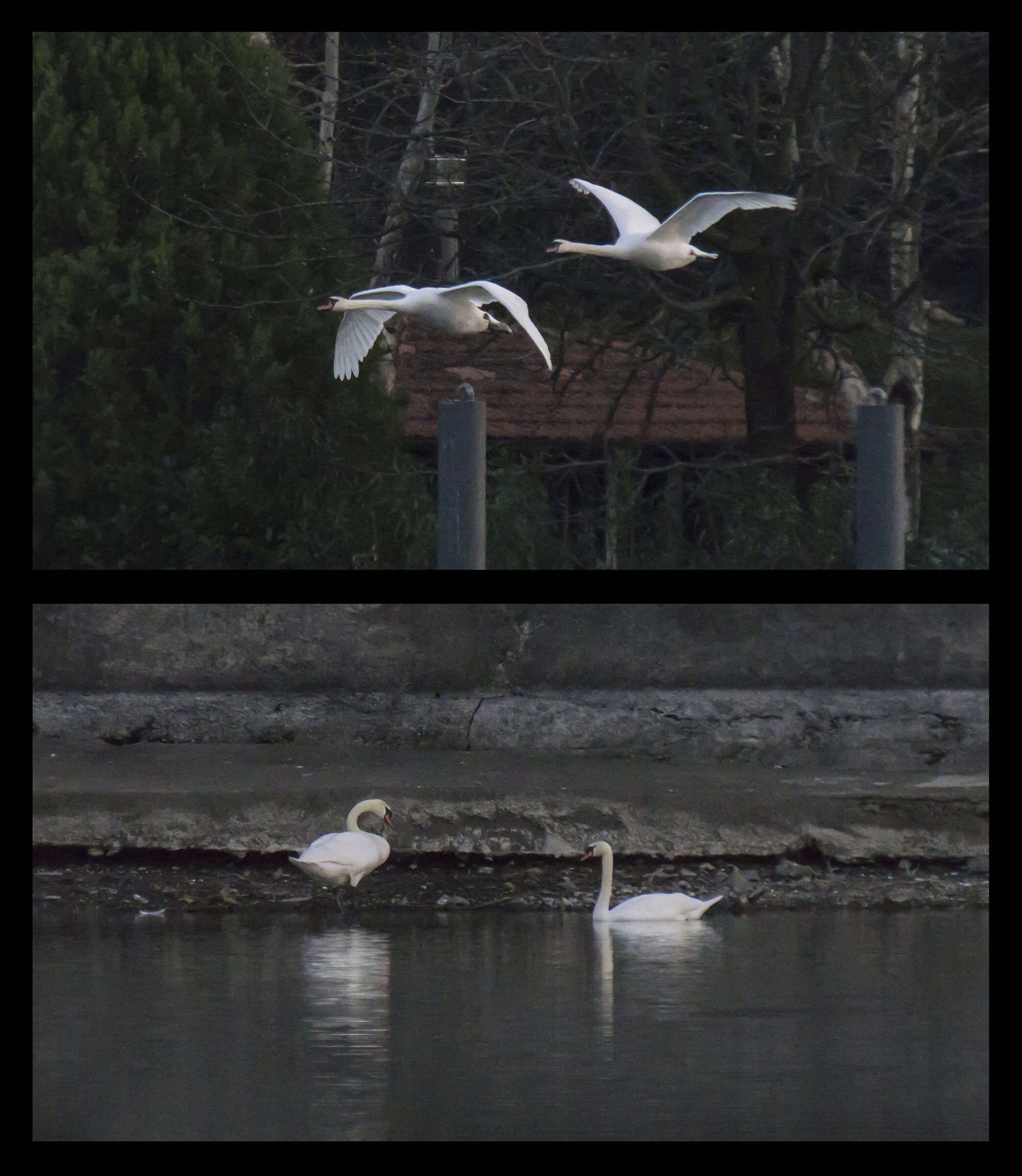 Giovedì 28 marzo 2019, 18:38:36 - 18:40:46