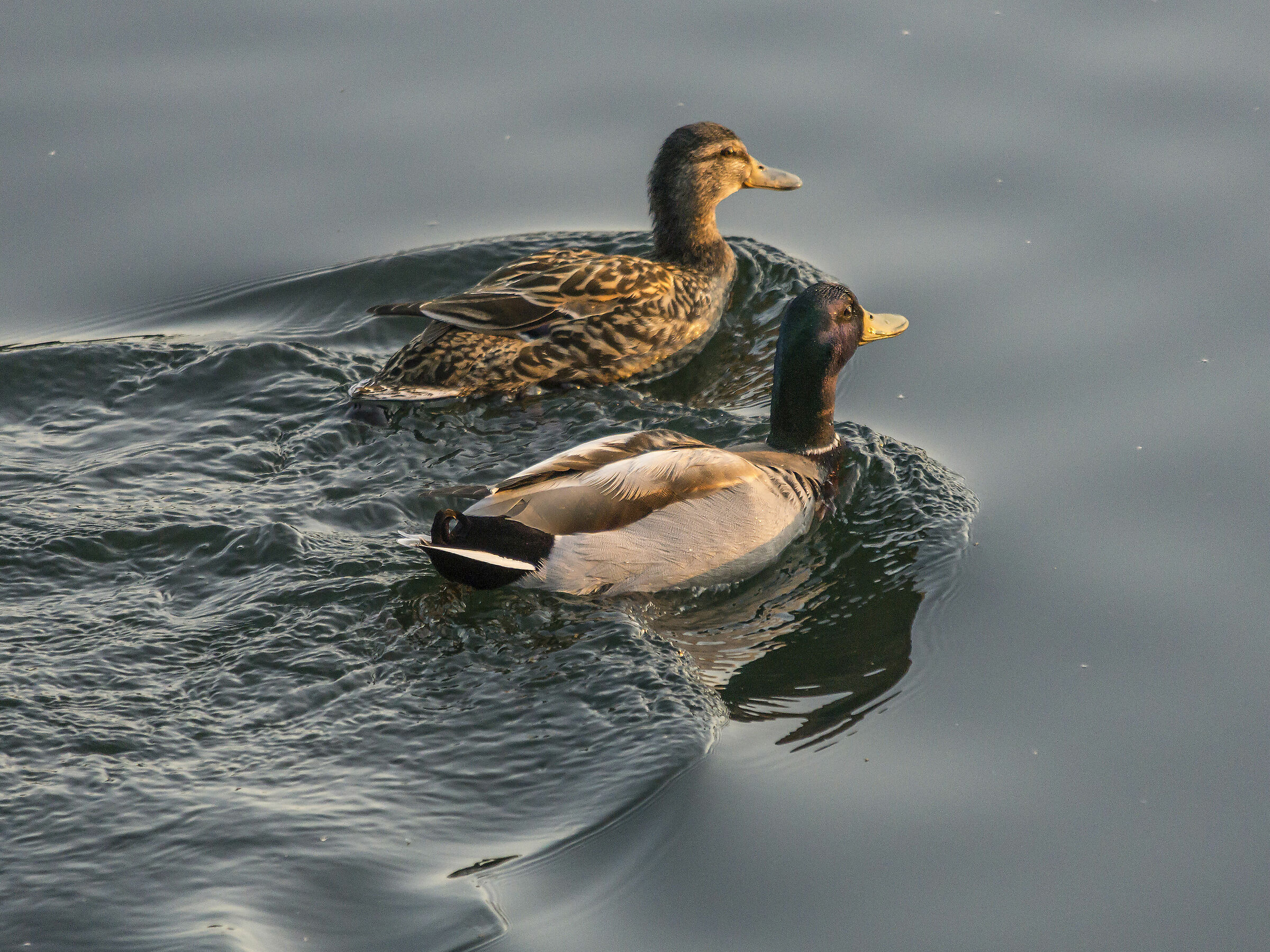 Wednesday 28 March 2019, 18:14:02