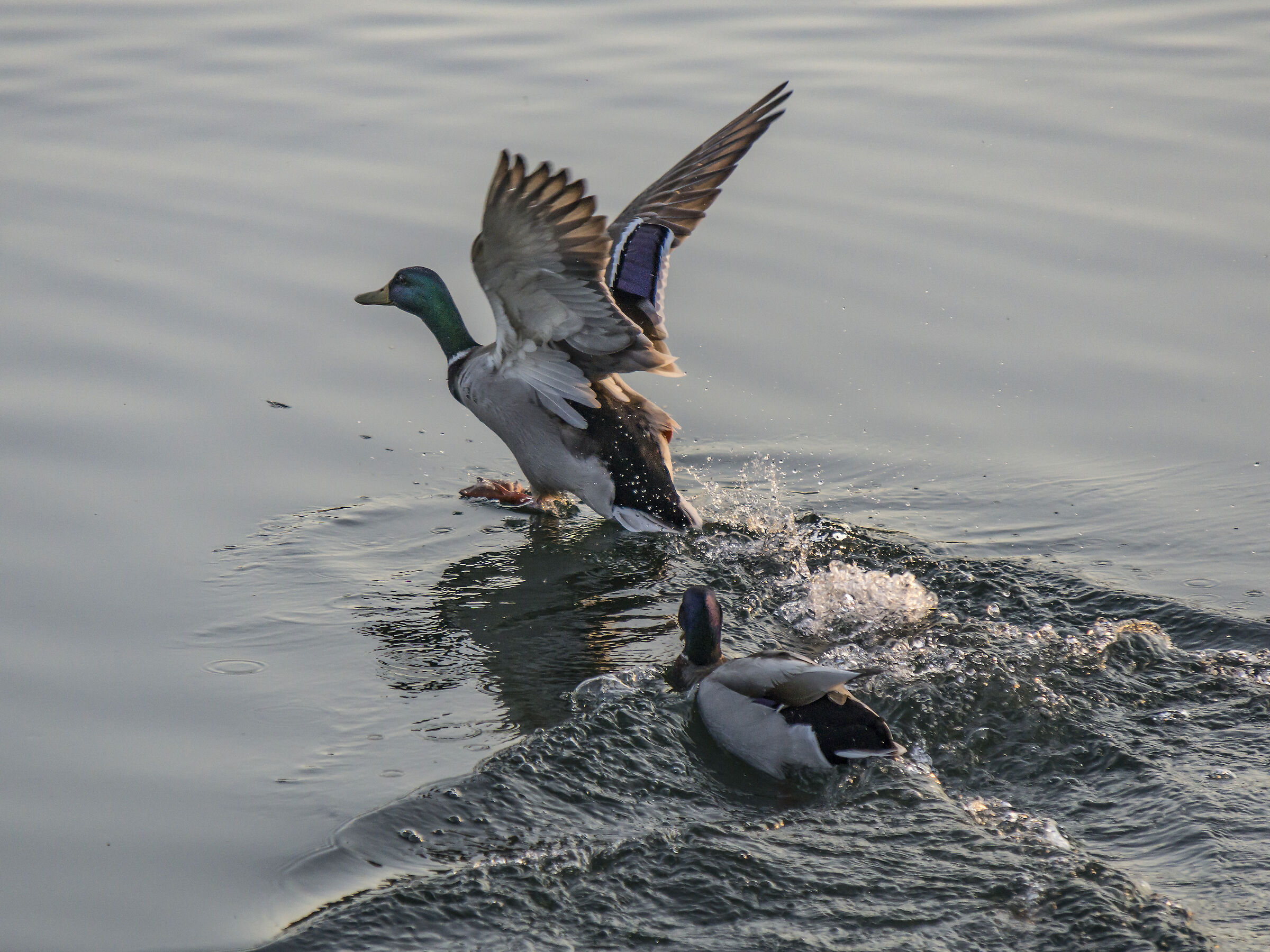 Wednesday 28 March 2019, 18:14:08