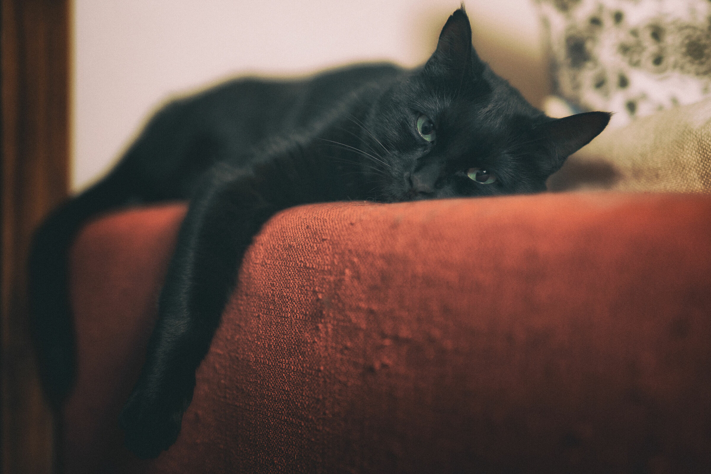 Stanca dopo una notte di gioco