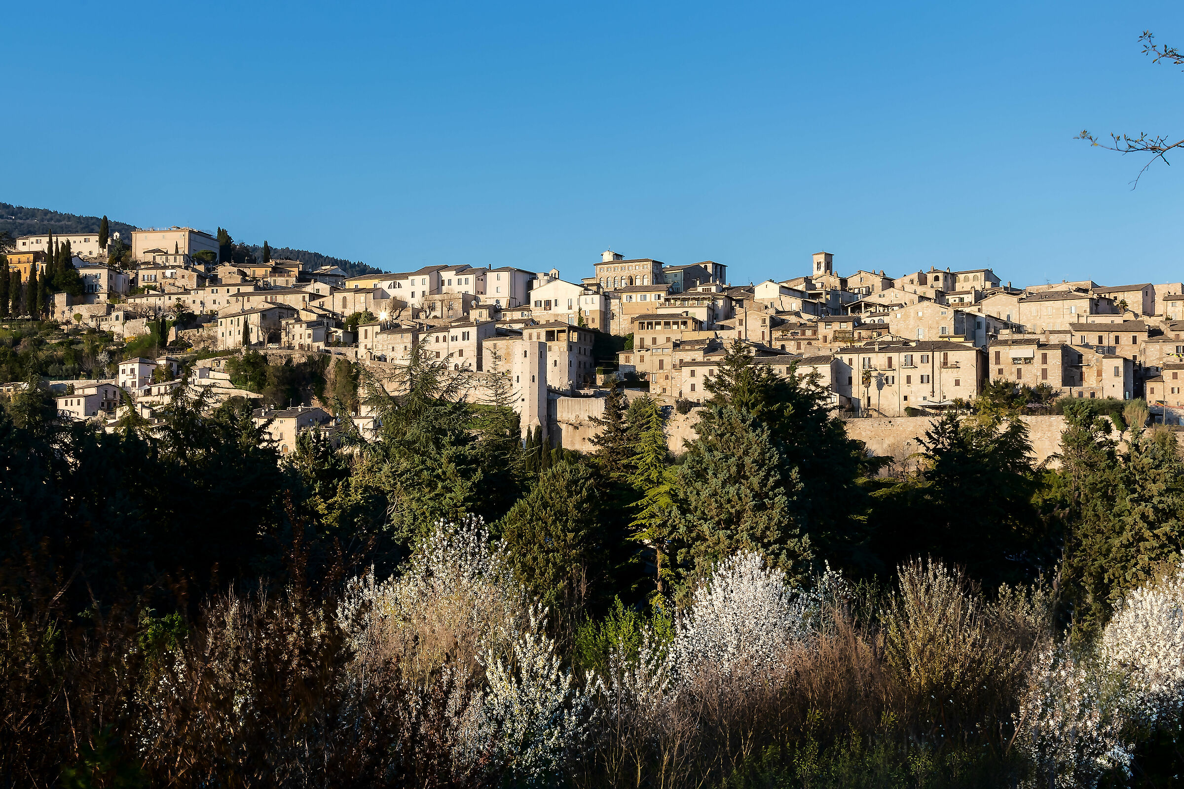 spello (pg)