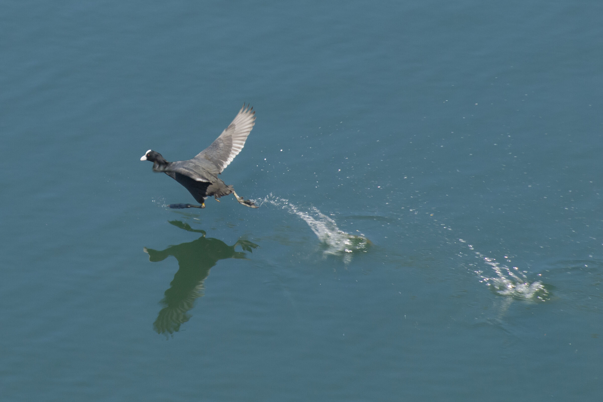 è fredda fredda freddaaa