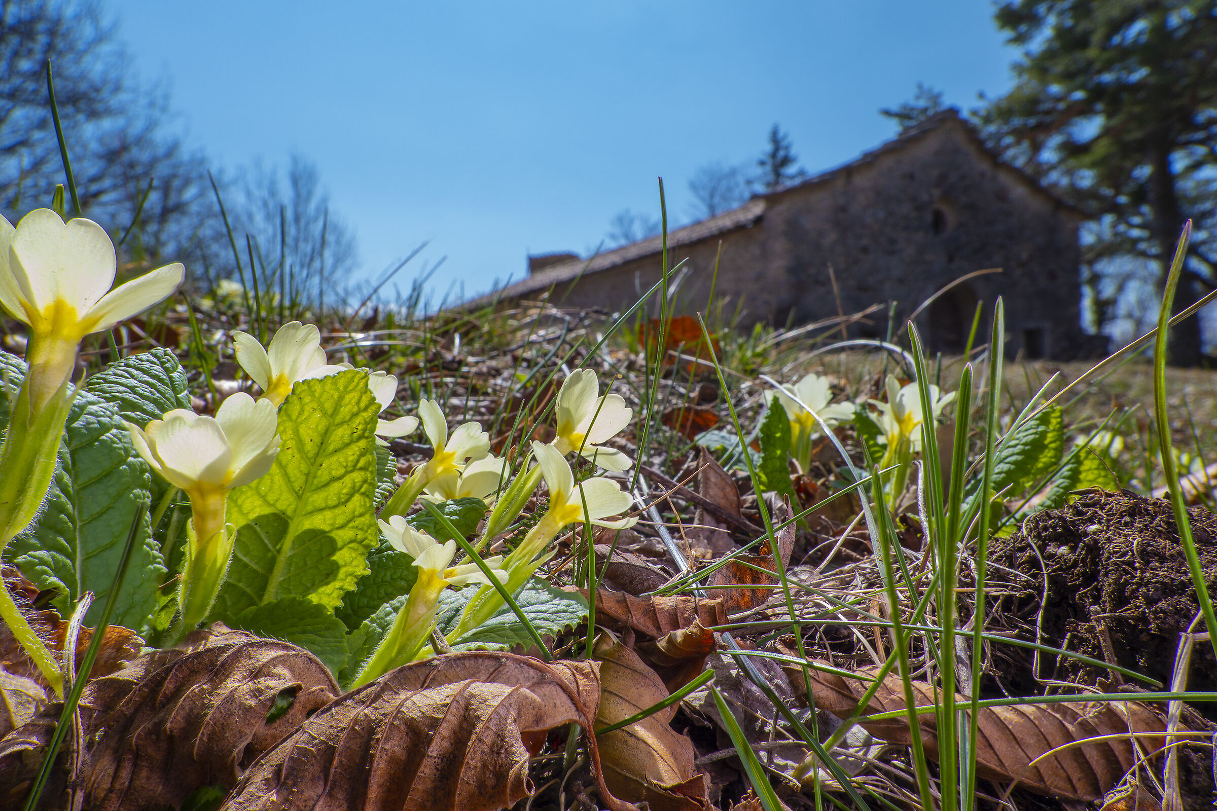 Hermitage of S. Martino