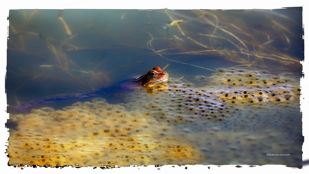 Tutto sotto controllo