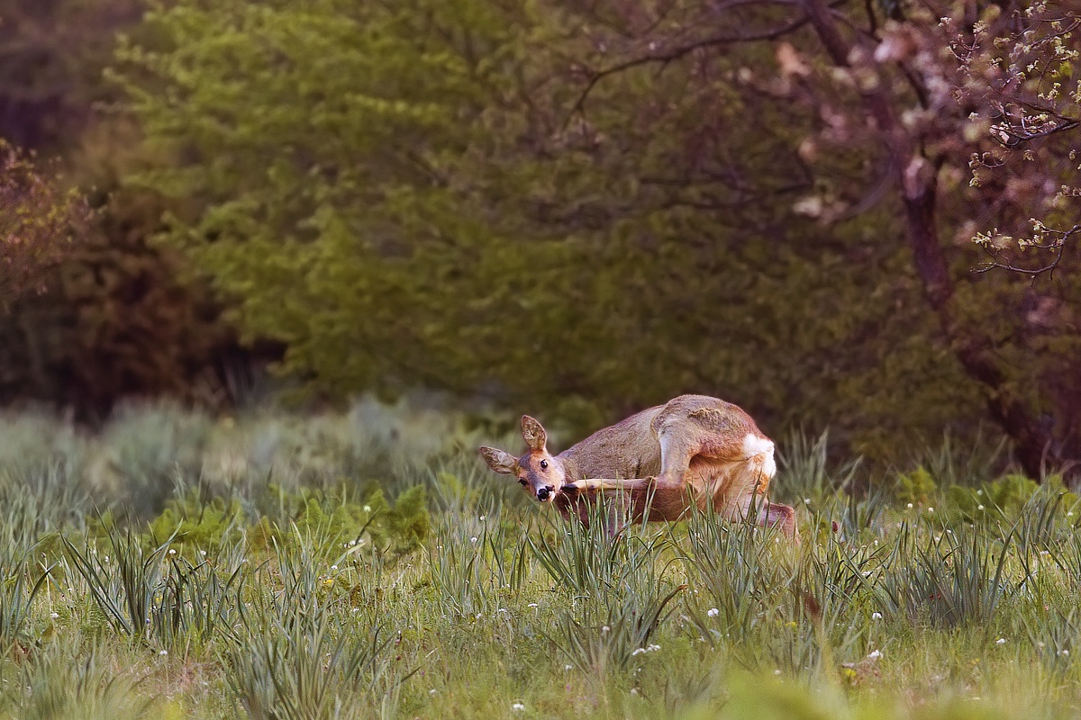 Grattatina ambientata