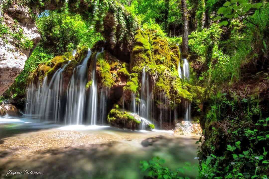 Capelli di Venere...(Cilento)
