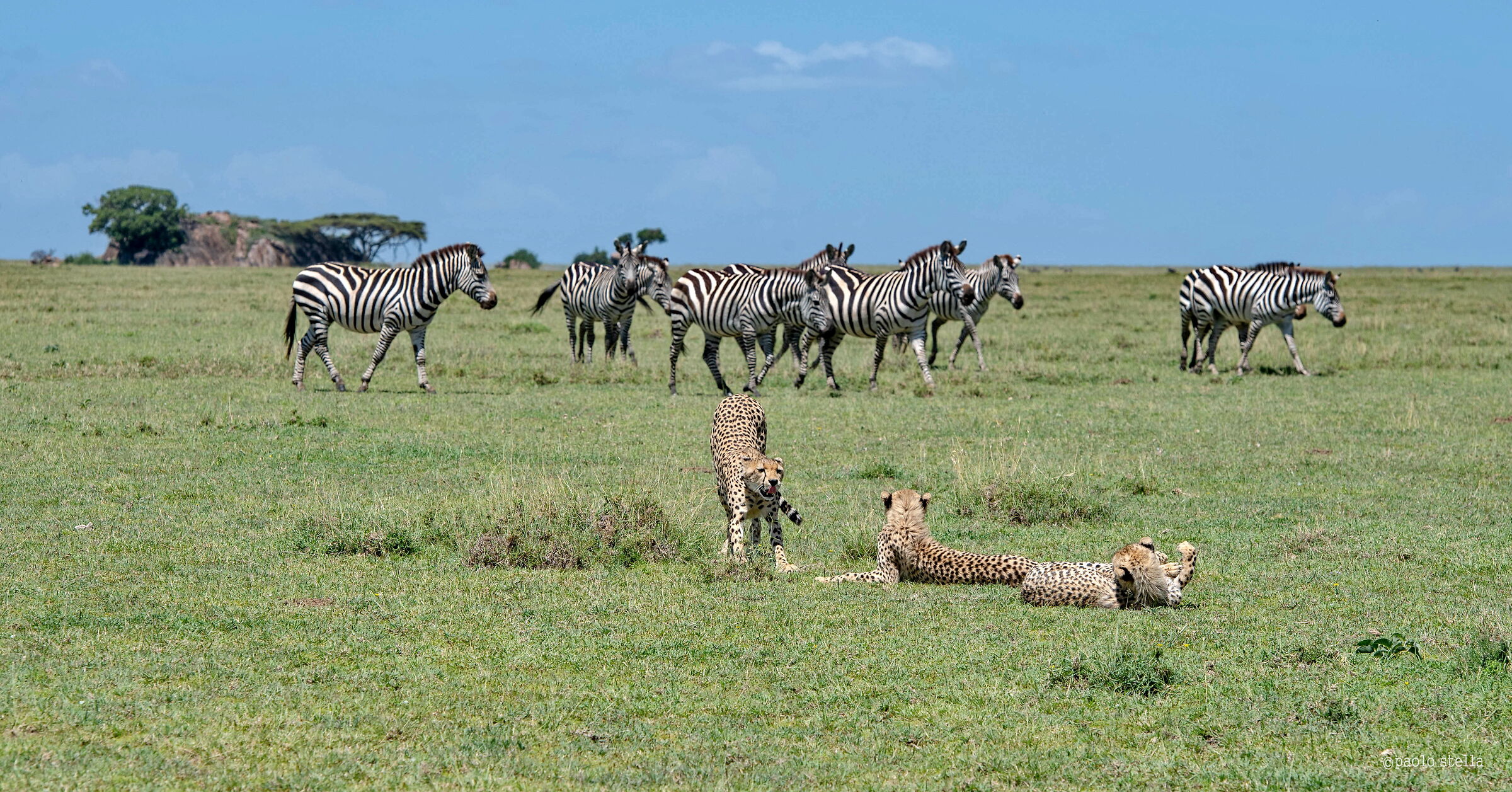 troppo grandi per noi !!