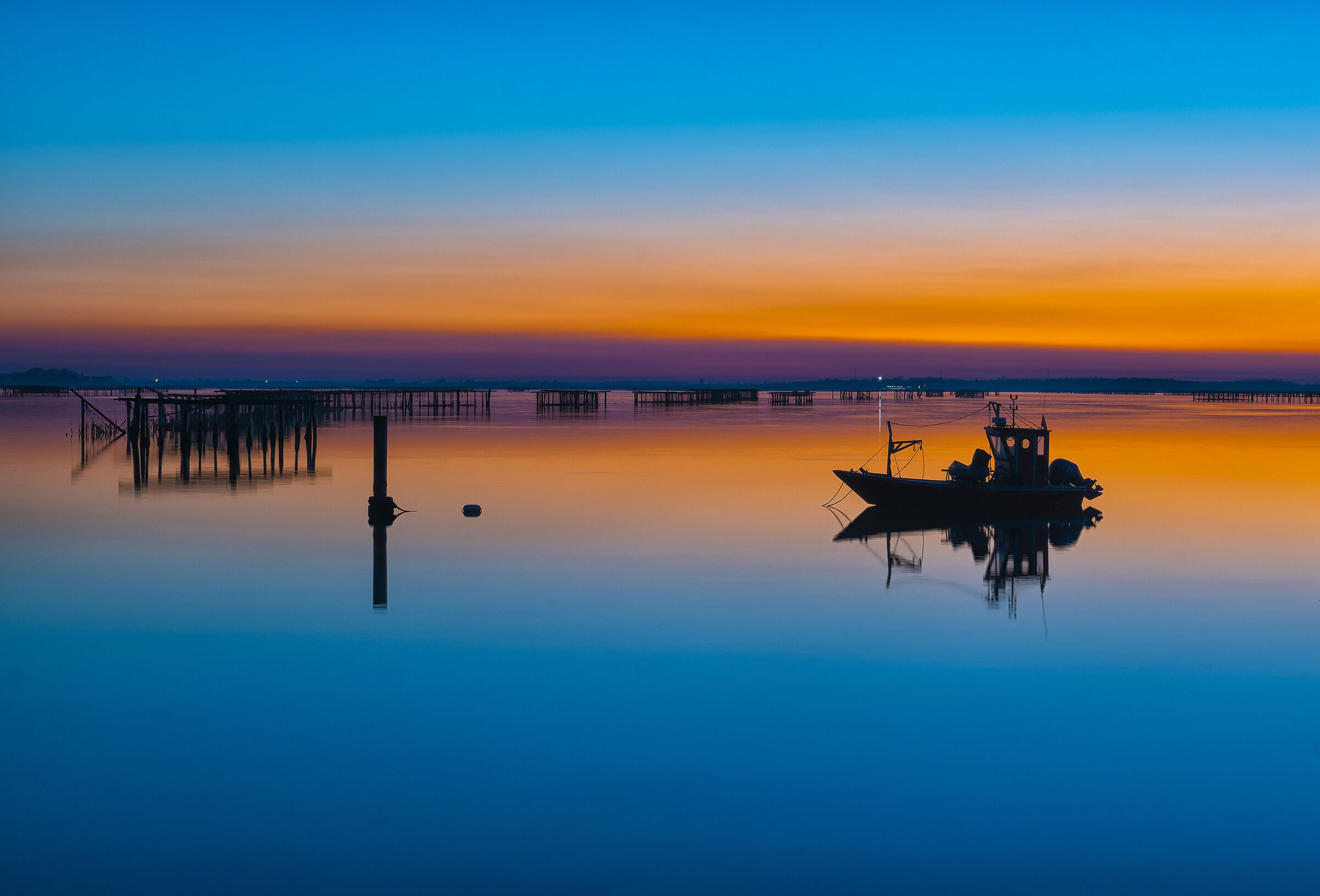 Bag of the Scardovari