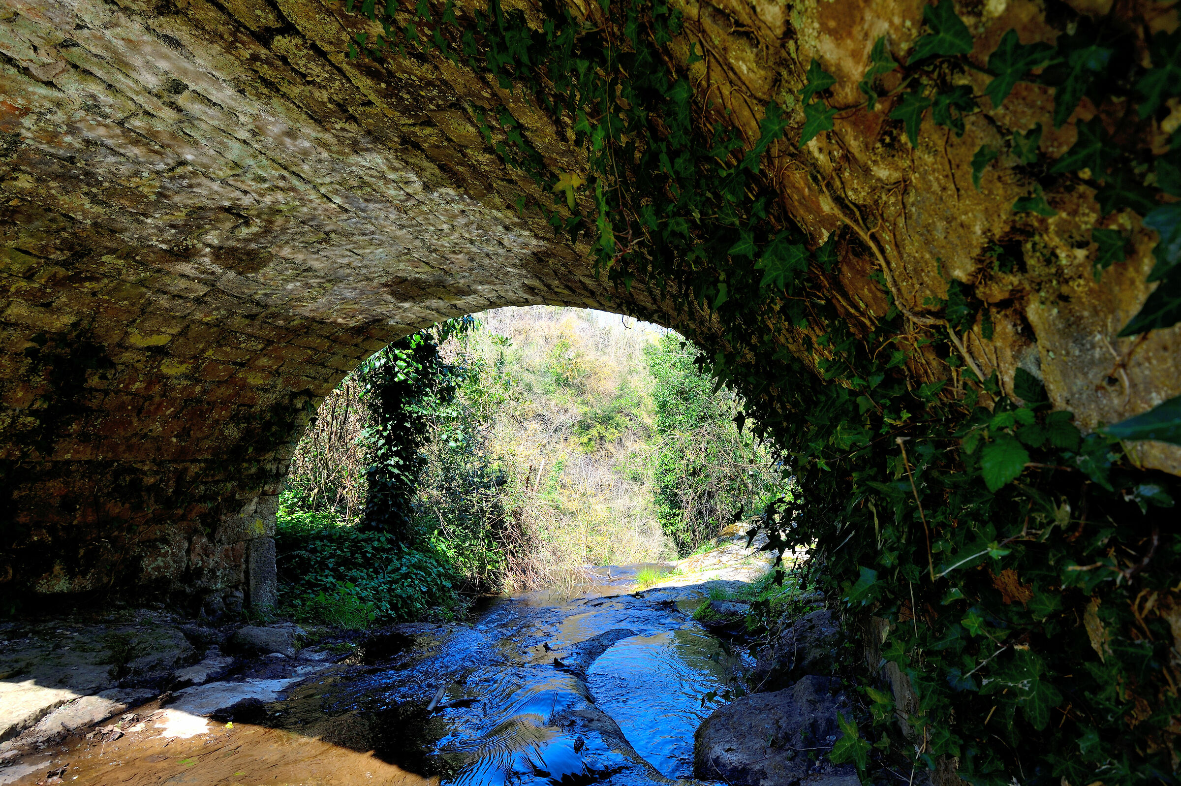 Before the Waterfall