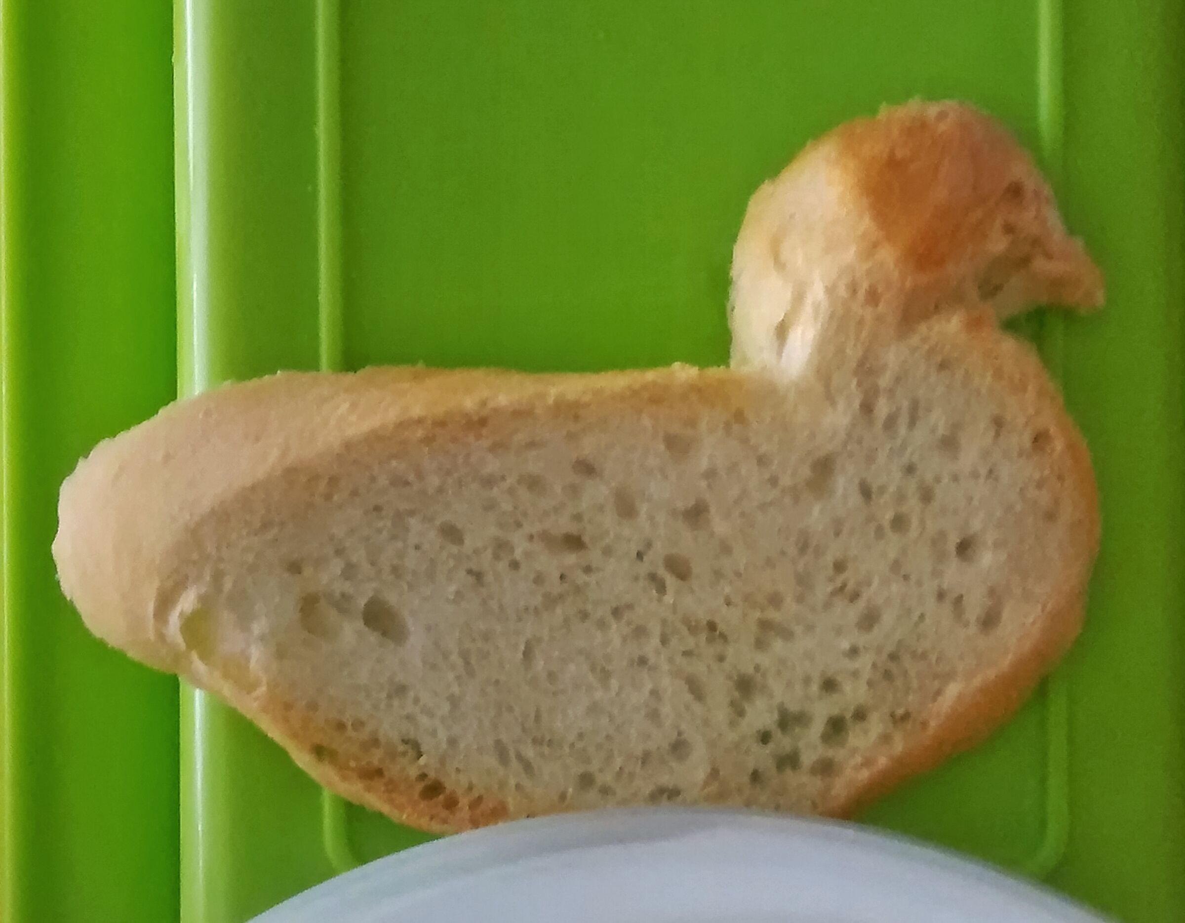 The incredible duck that makes the whole web laugh