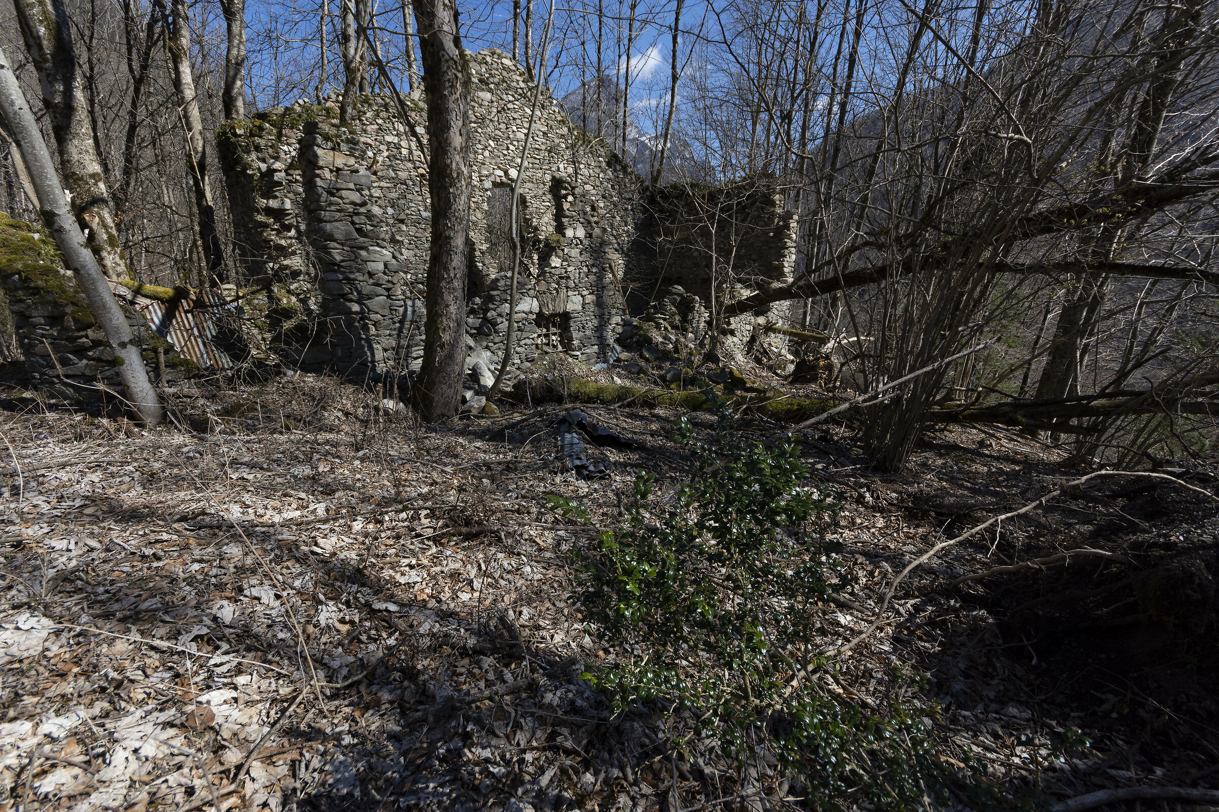 Ruin