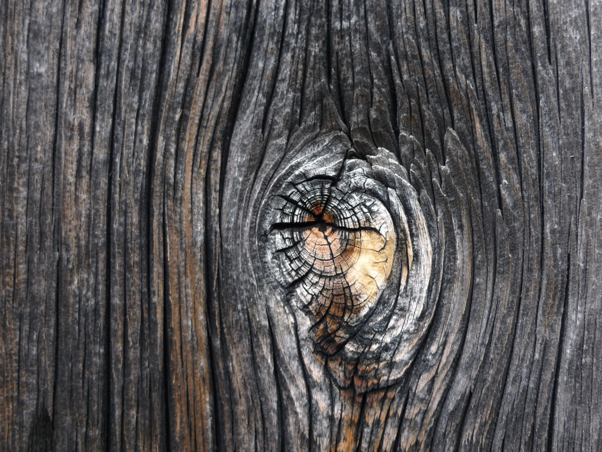 Eye