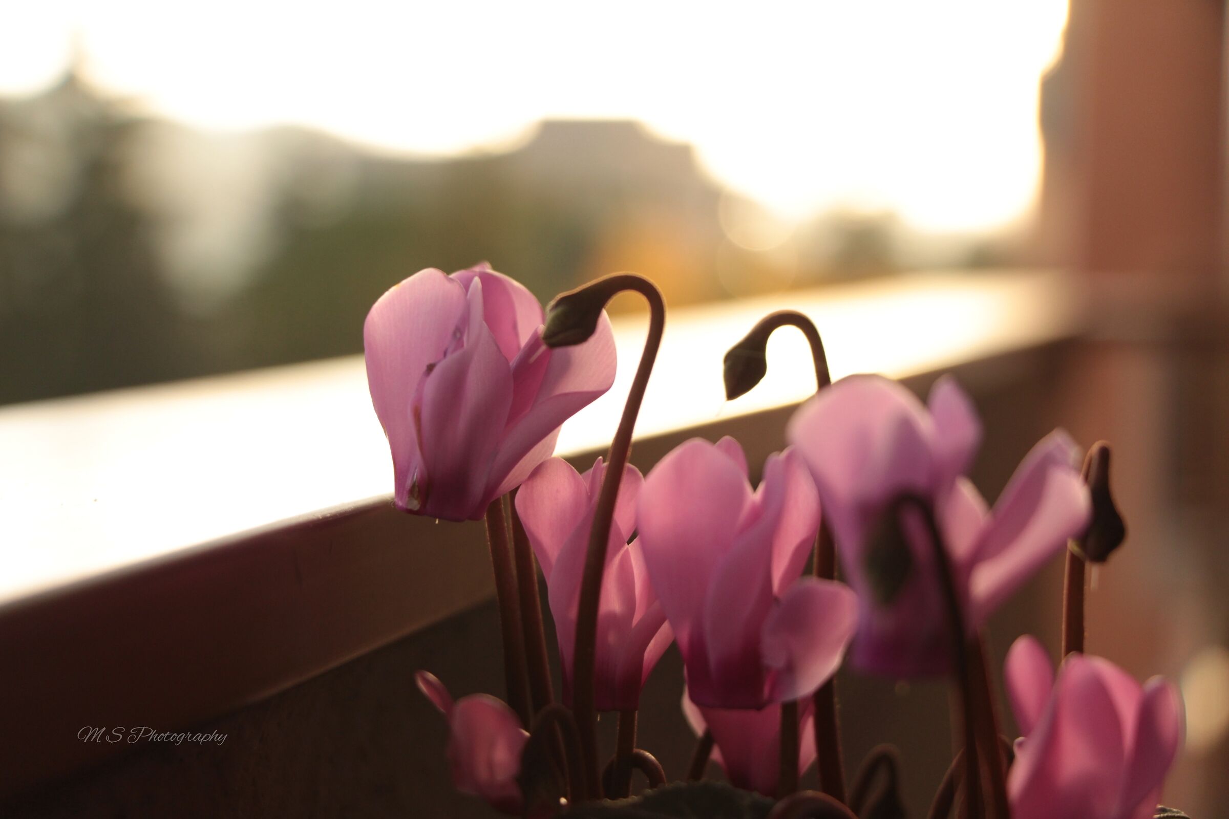 The only real prison is ourselves