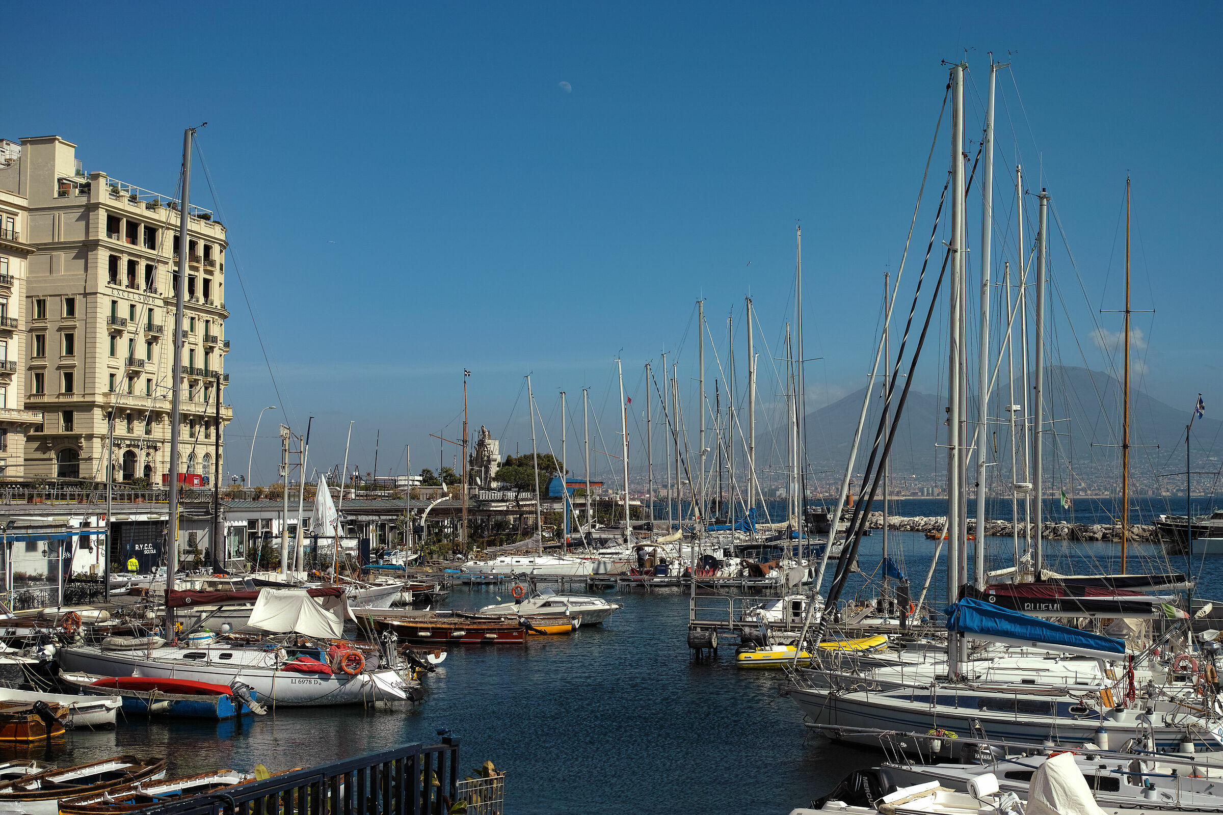 Borgo Marinari: Foresta Docente (alberi maestro)