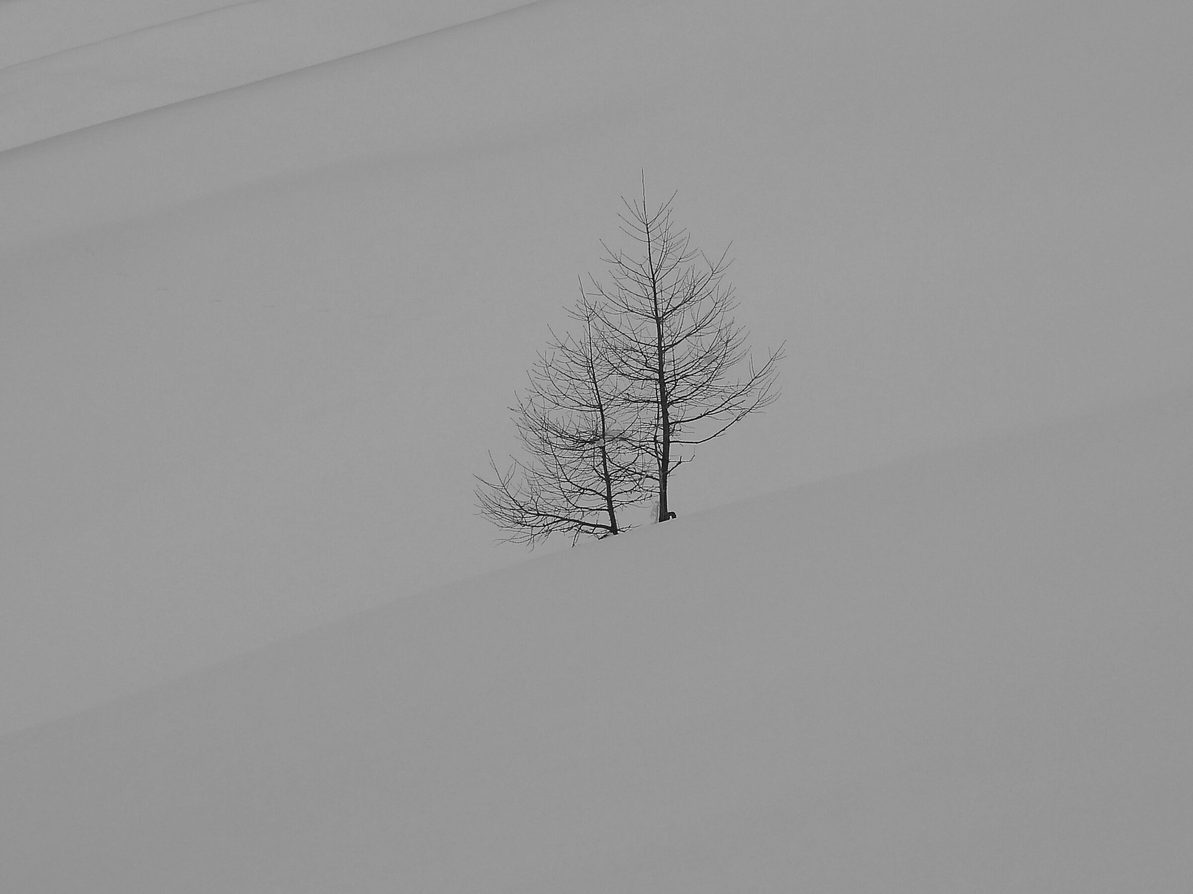 Presence