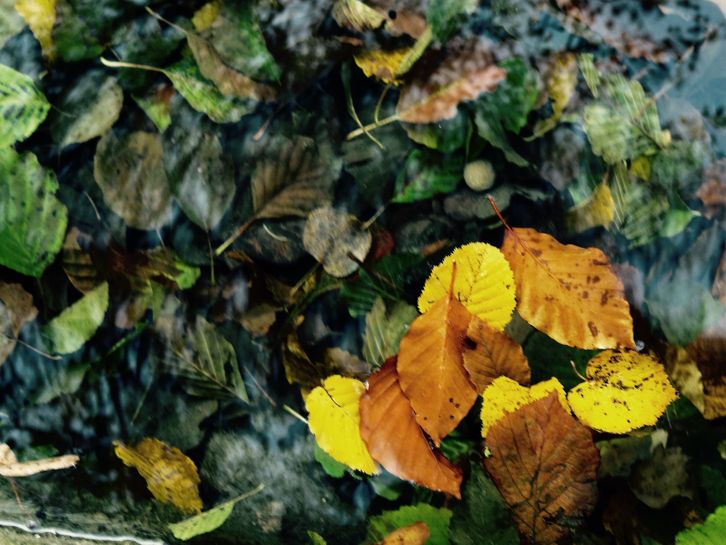 Colors in the water
