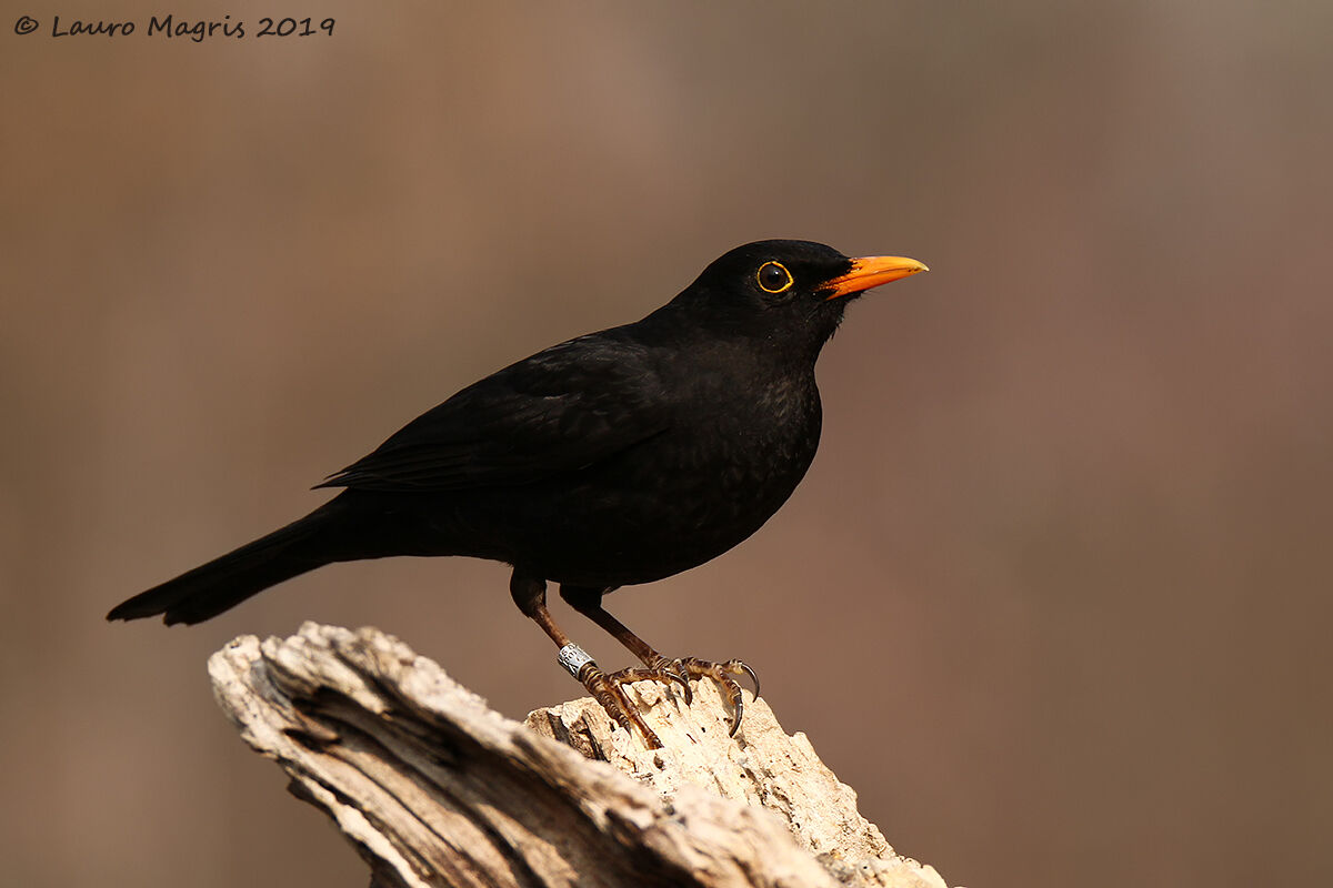 For the moment unmarried