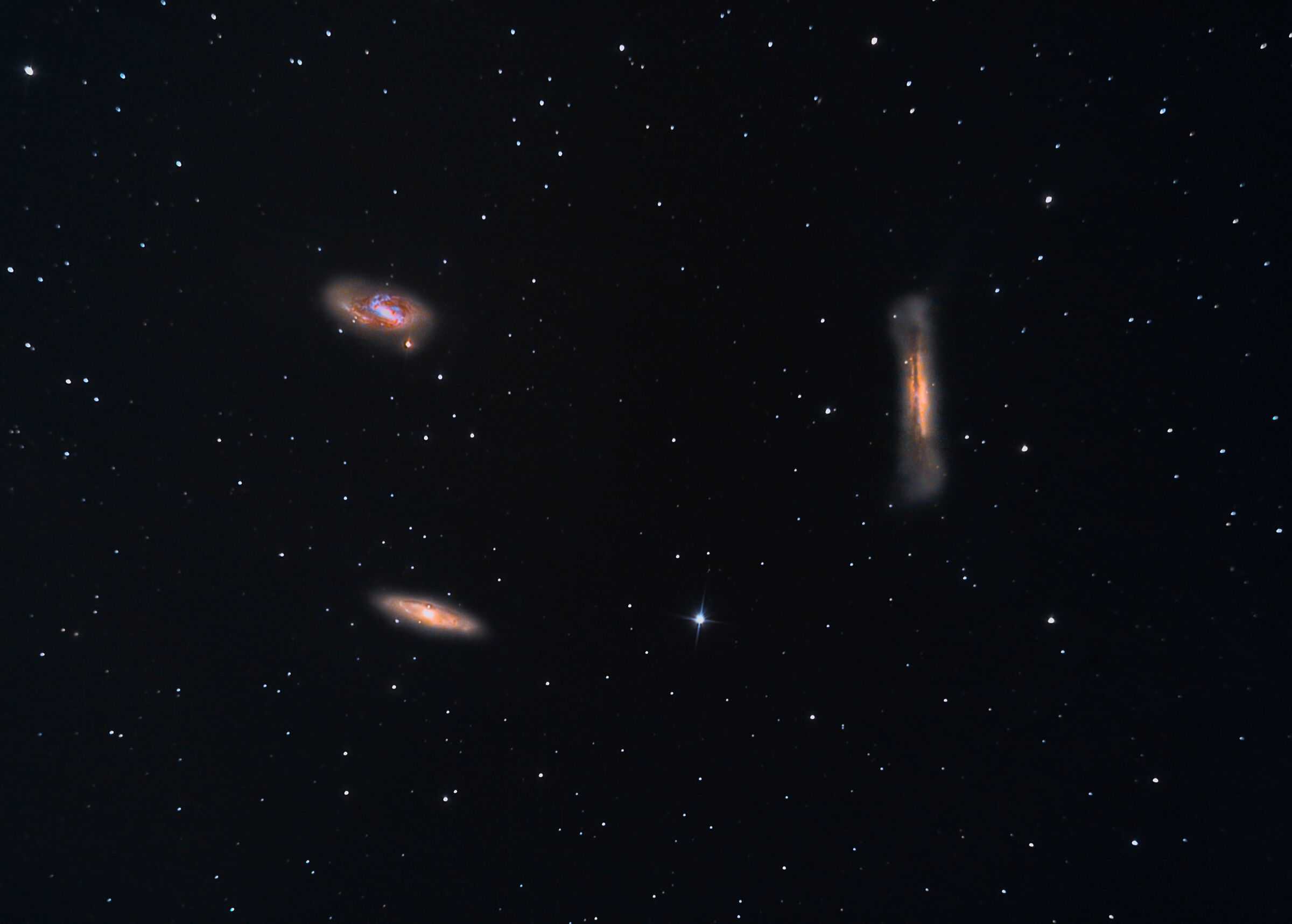 Il tripletto del leone su montatura non guidata