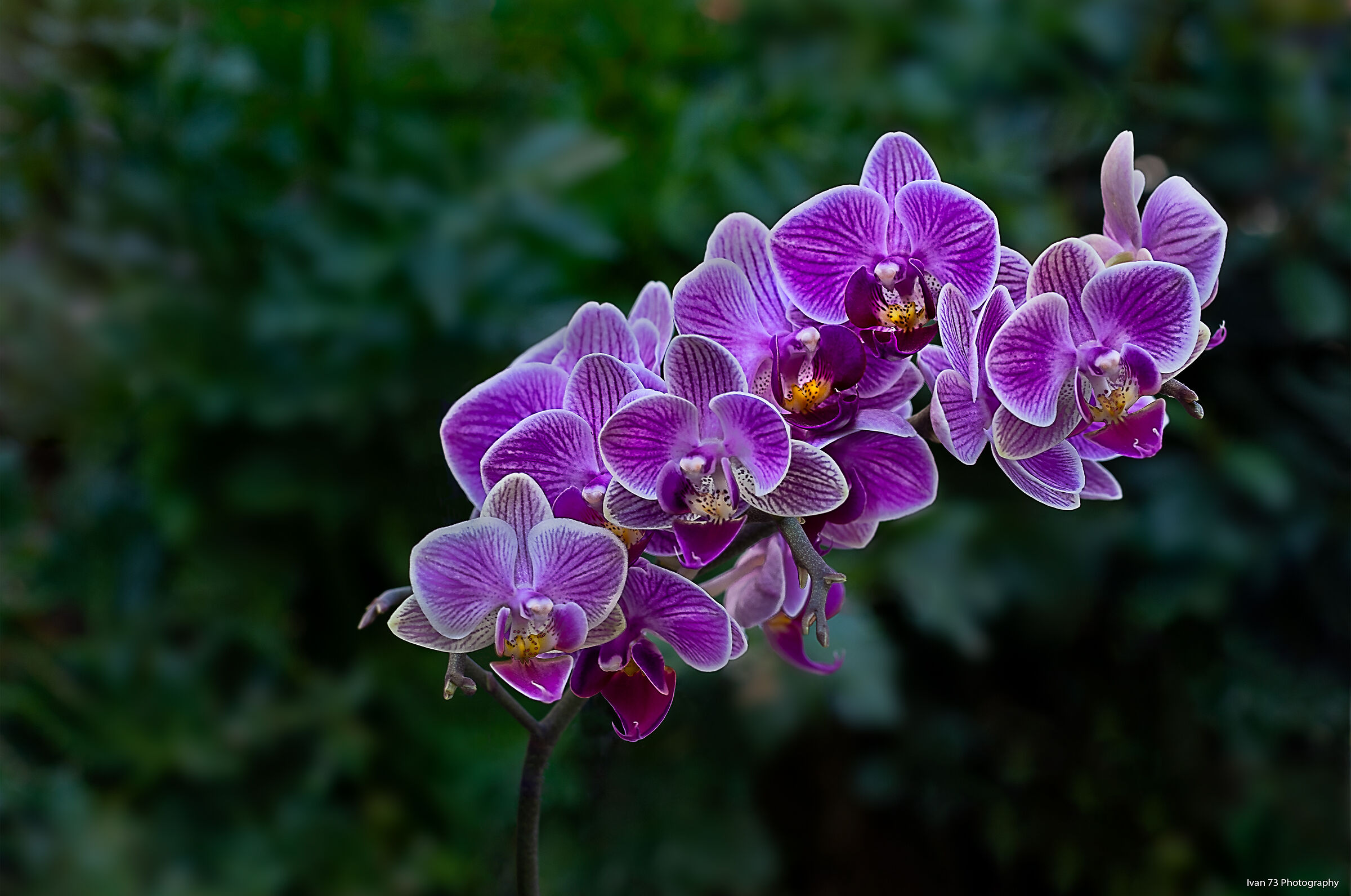 Untitled Photo