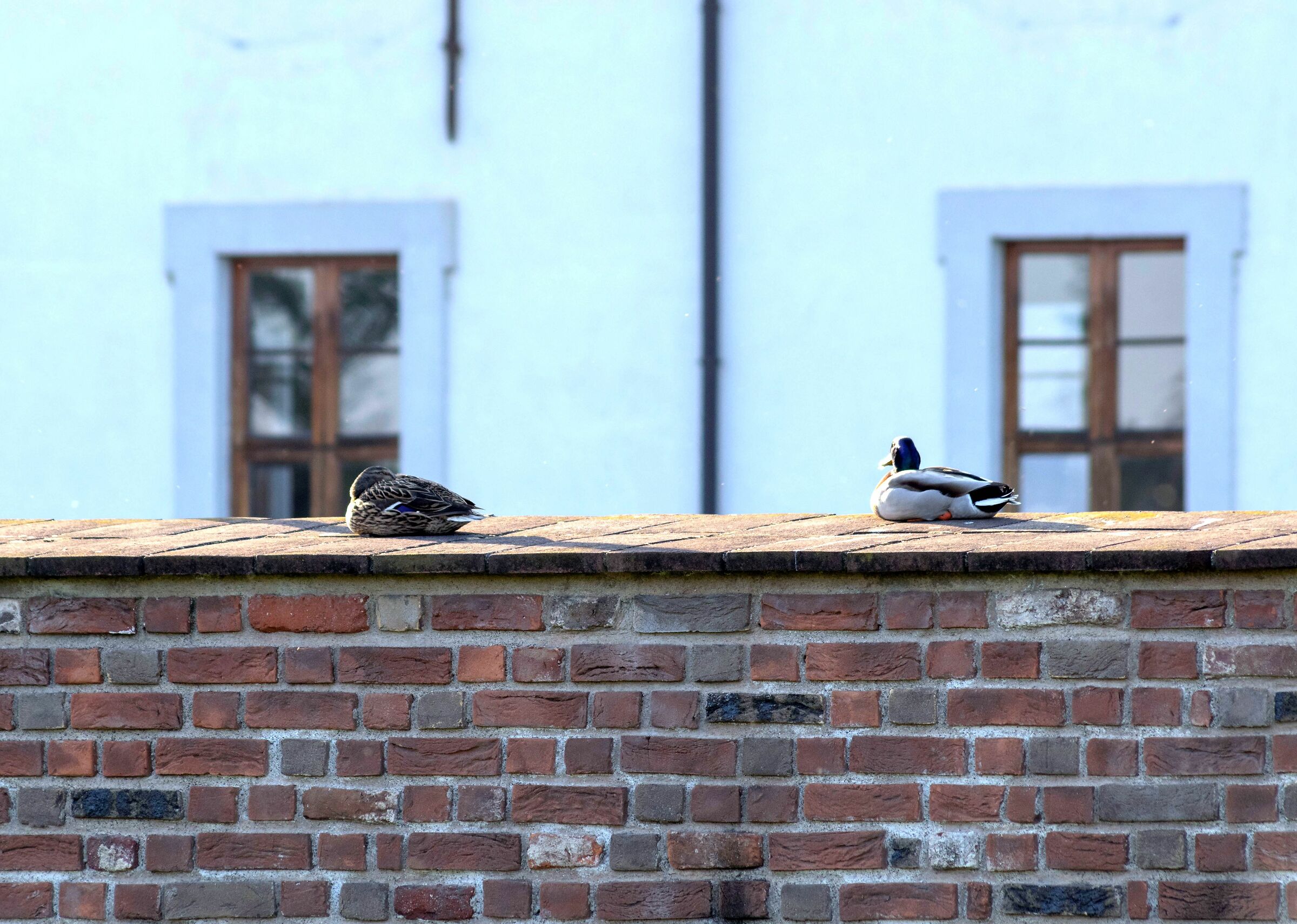 Mi godo l'ultimo sole...