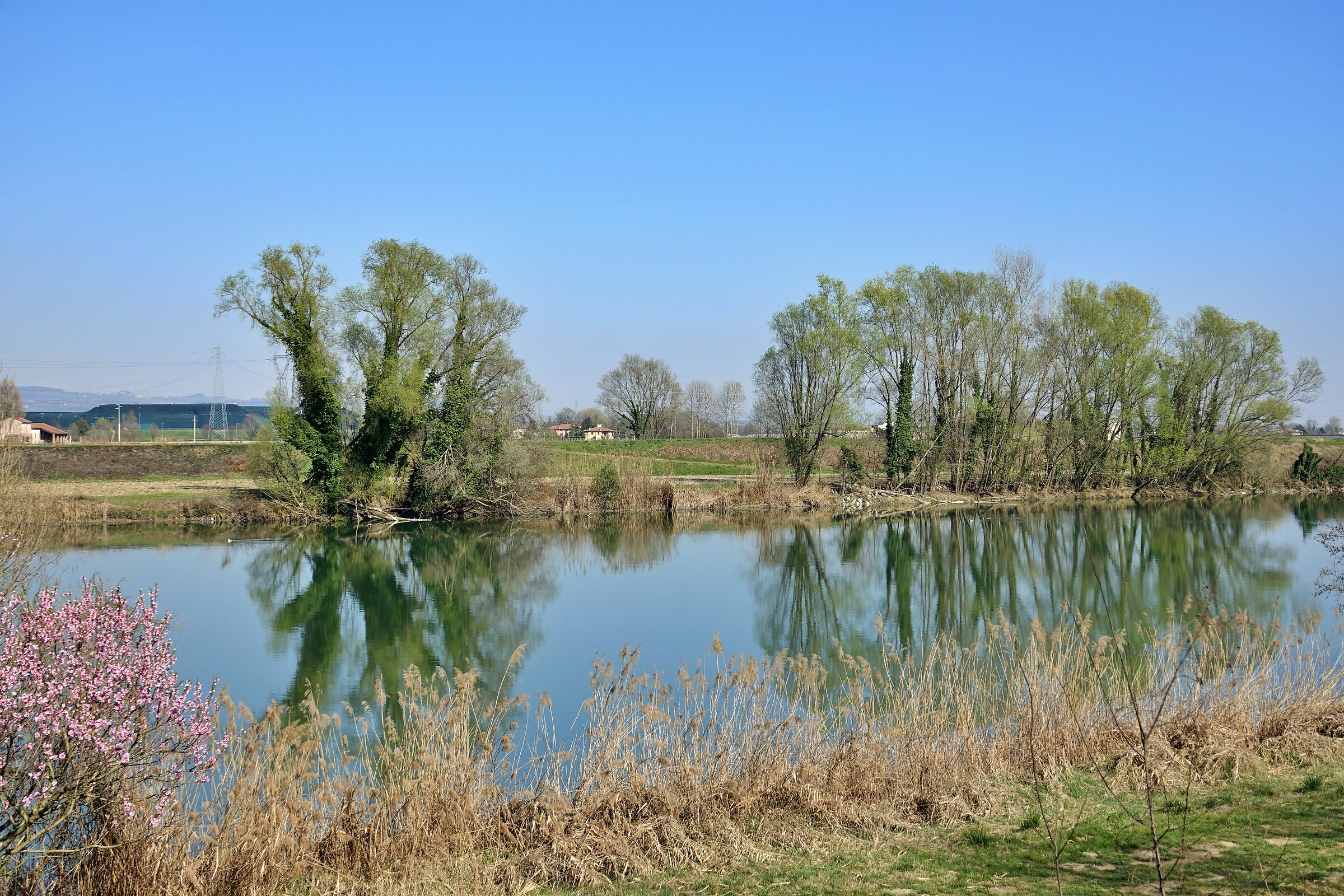 Shores of the Adige 2