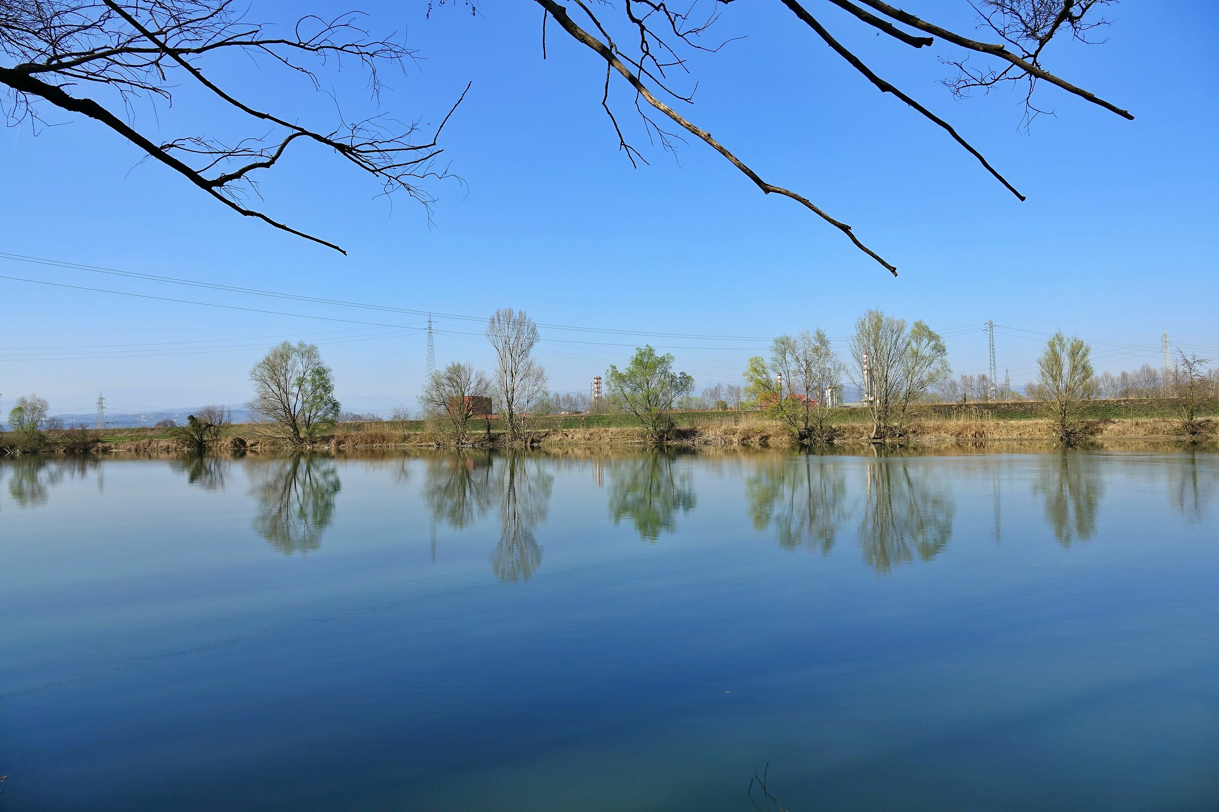 Shores of the Adige 1