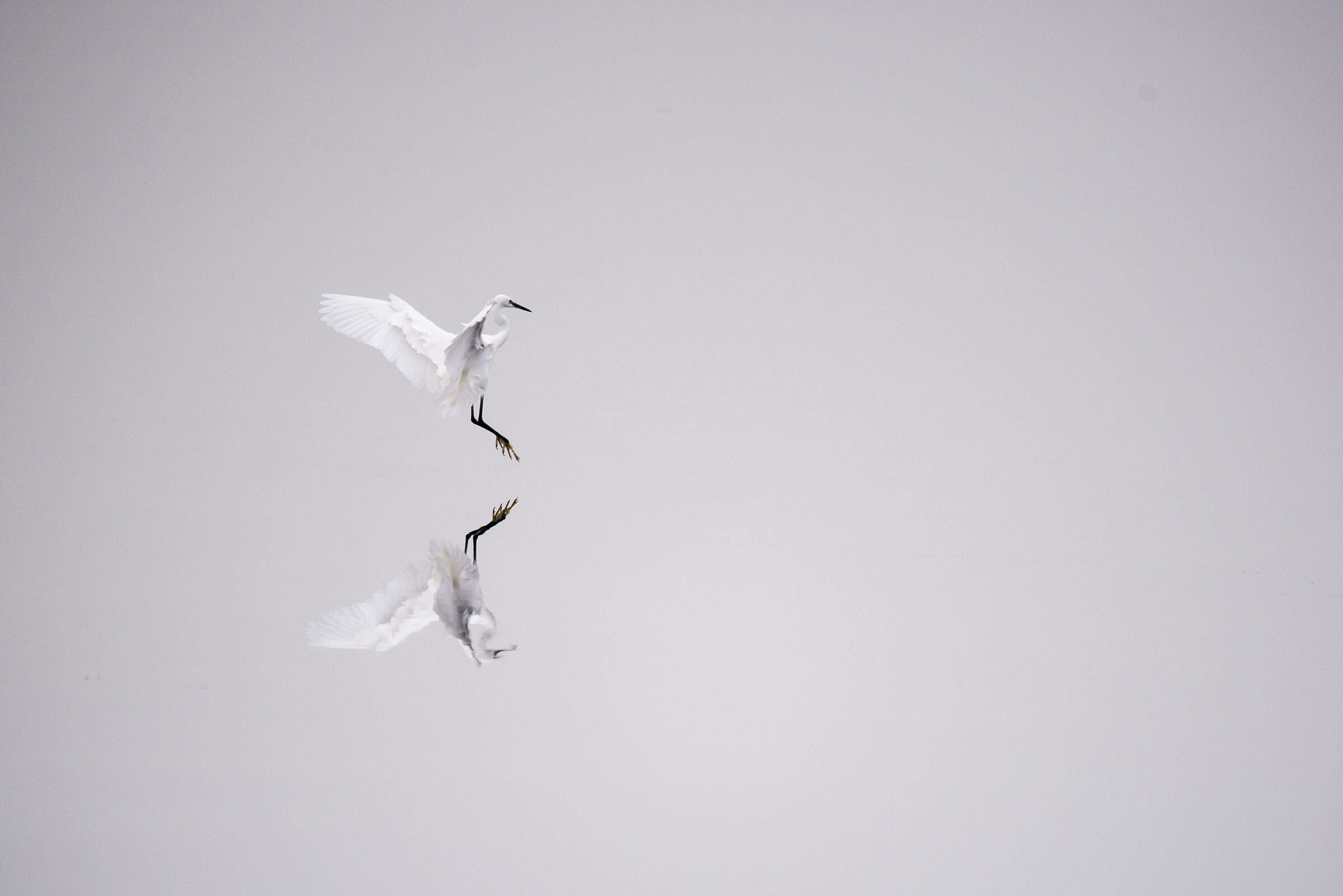 Minimal naturalistic