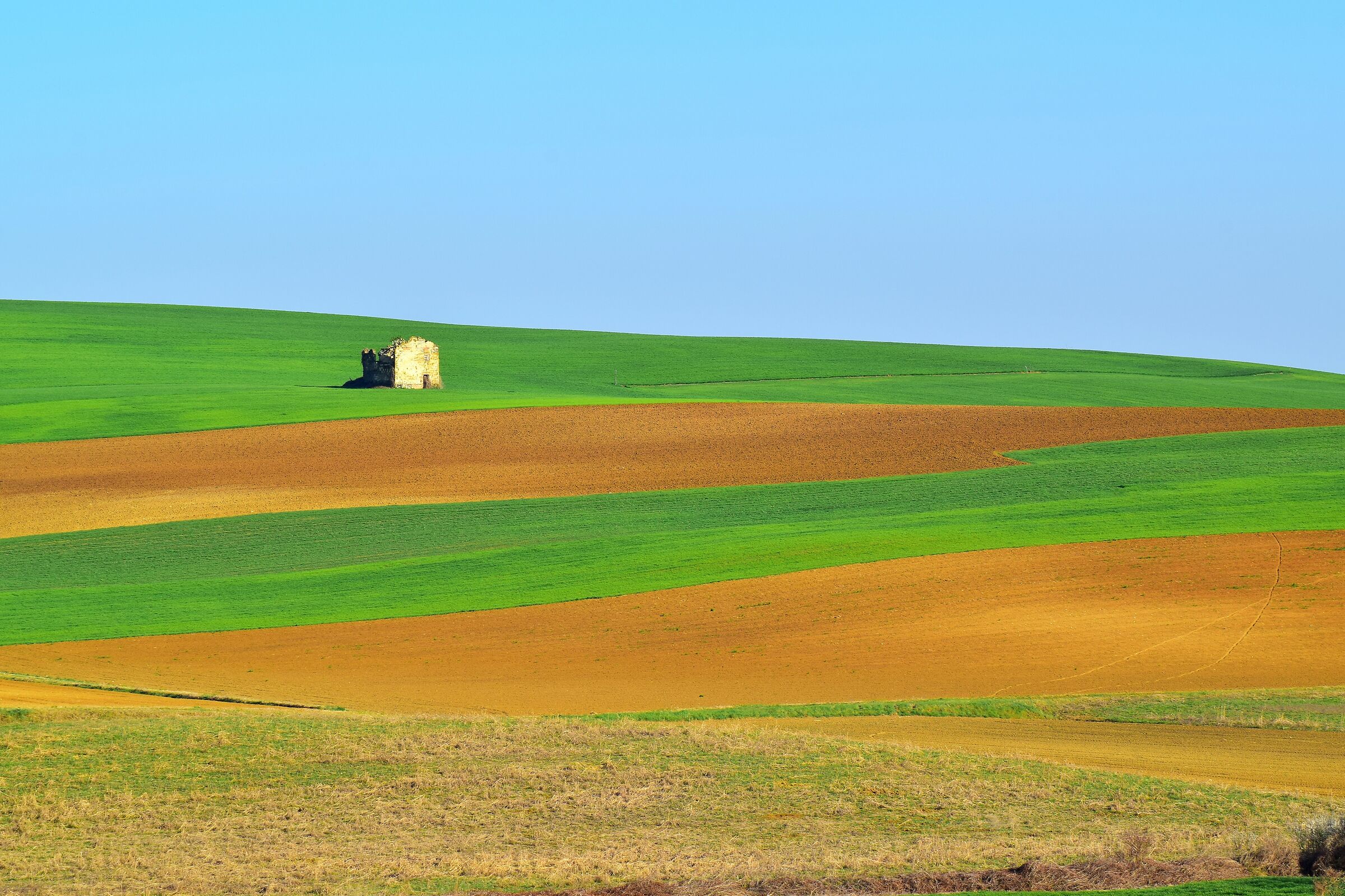Nelle colline del Ruchè
