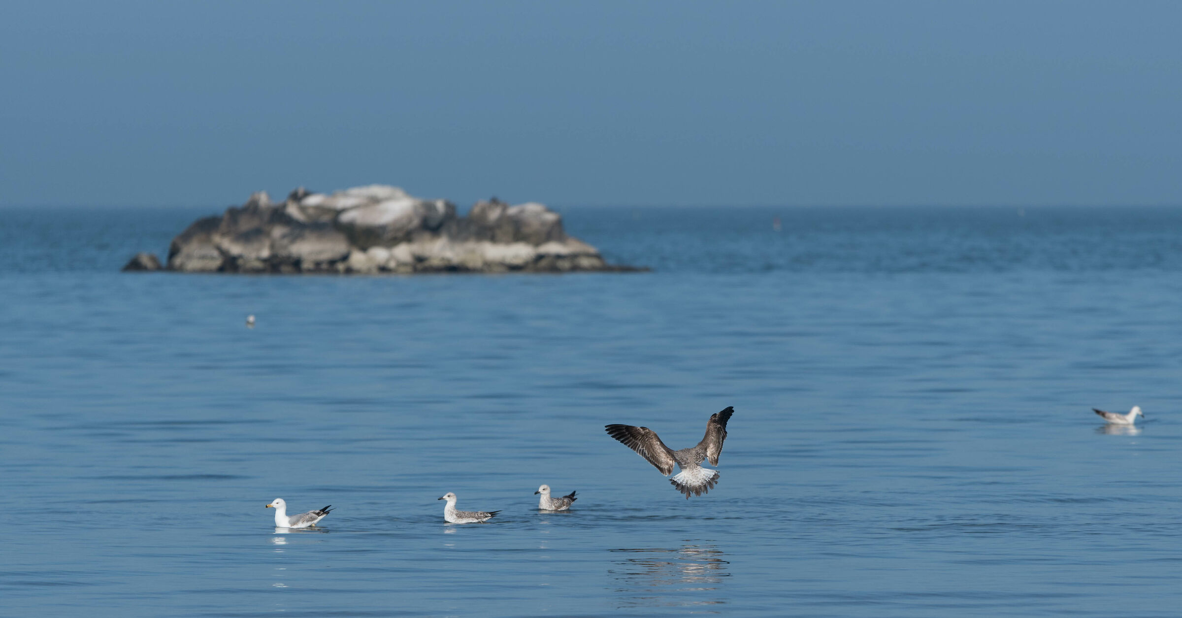 Atterraggio perfetto