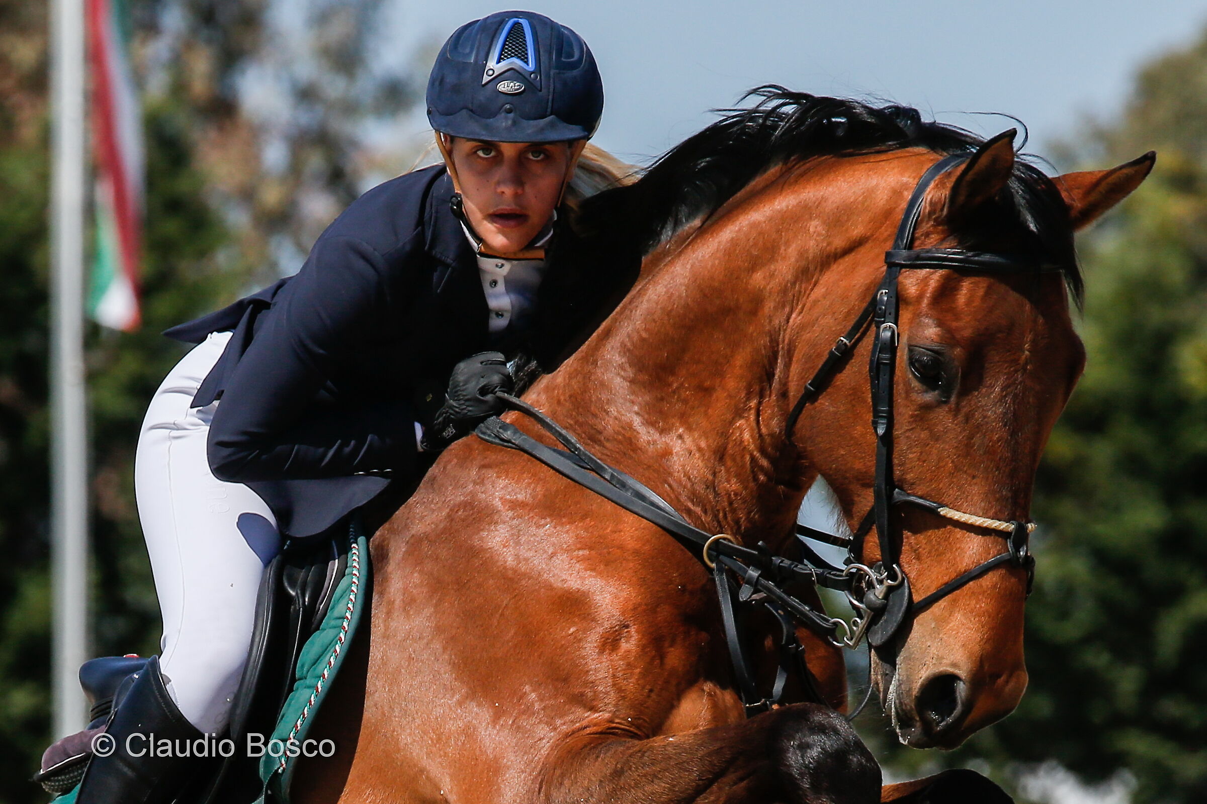 The Gaze of the Amazon